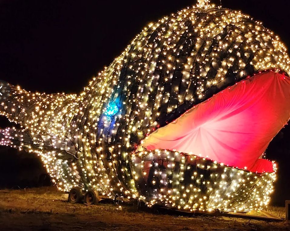 Screenshot 2025-05-03 at 7.29.14 PM.png