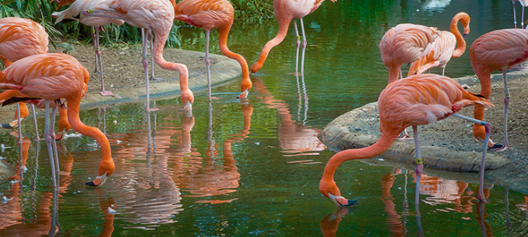 Screenshot 2025-05-13 at 8.04.49 PM.png