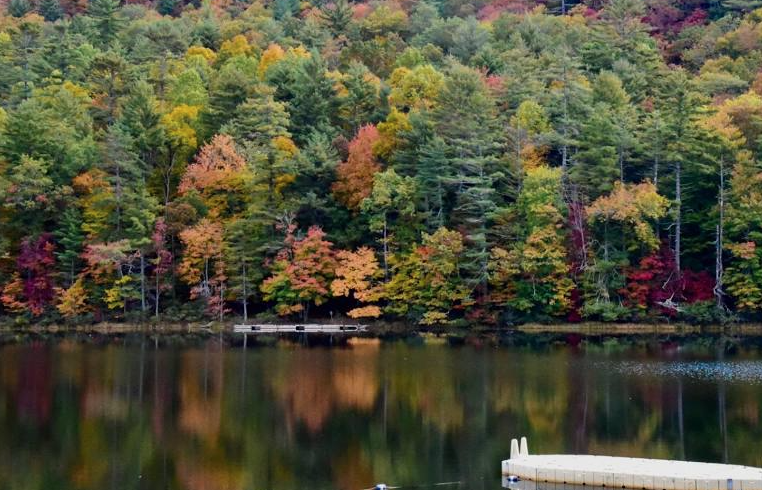 Screenshot 2025-04-17 at 7.41.45 PM.png