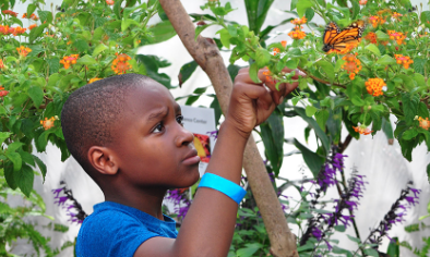 Screenshot 2025-05-13 at 2.03.18 PM.png