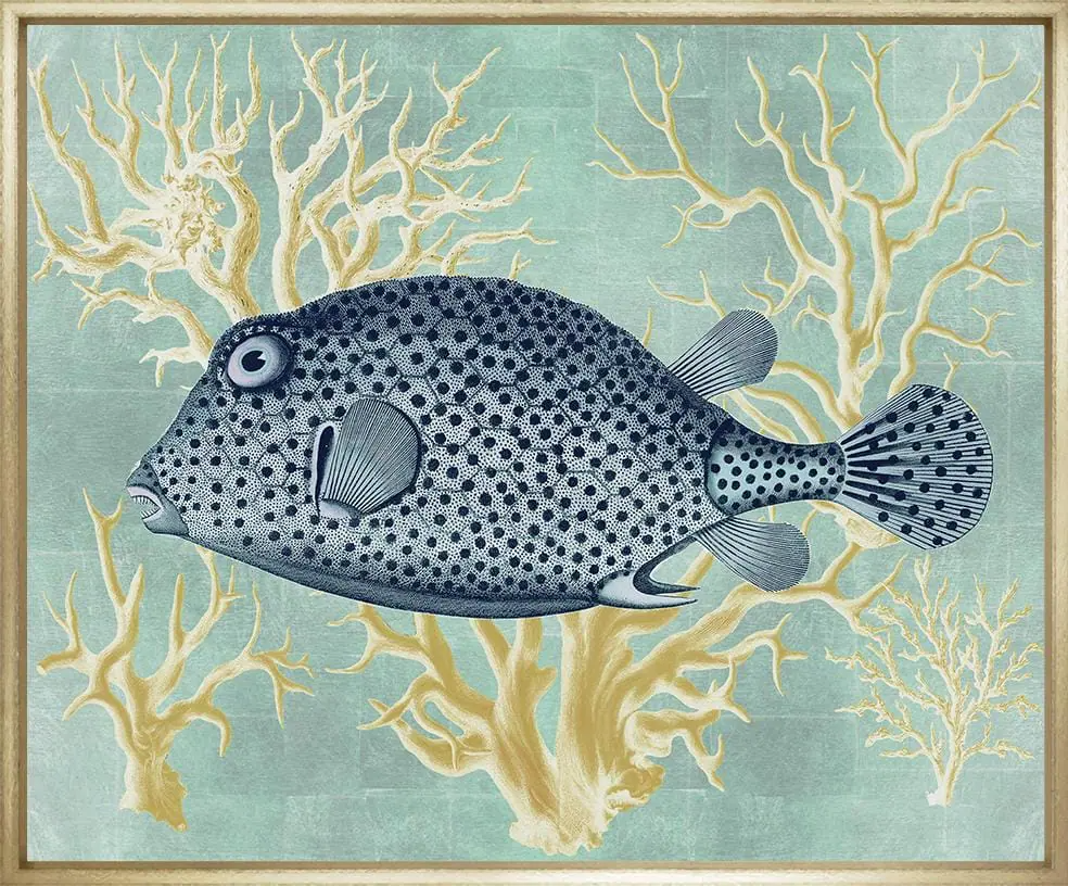 An illustrated fish with black spots and large eyes, set against a background of stylized coral and seaweed in shades of beige and light blue.