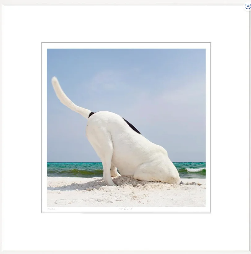 A sculpture of a dog on a beach with a blue sky and ocean in the background.