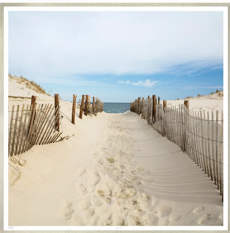 Sand pathway leading to the beach with wooden fences on both sides and dunes with grass, under a partly cloudy sky.