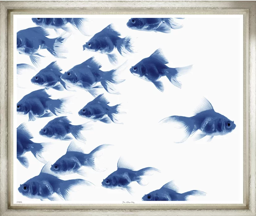 Painting of multiple blue goldfish swimming in a school.