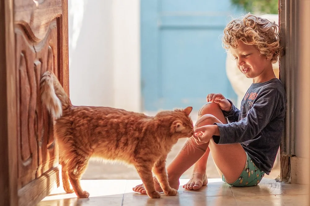Kind mit Katze sitzend