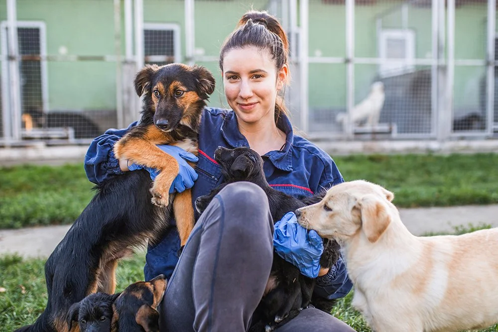 Frau mit zwei Hunden