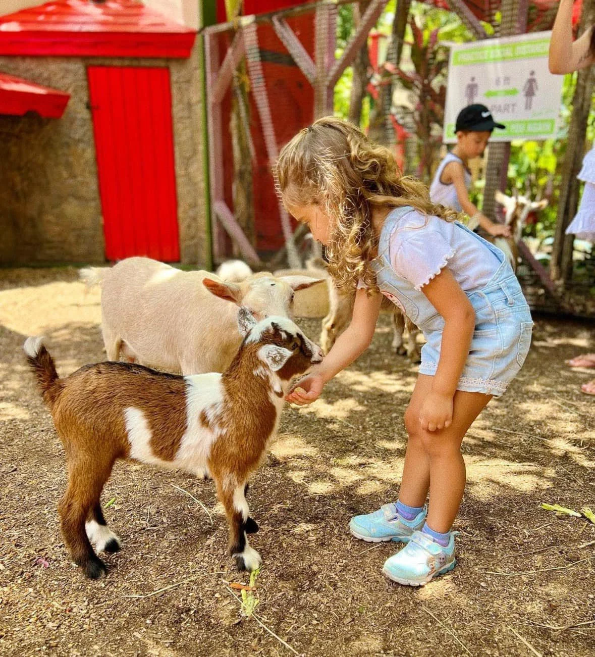 Farm Fun &amp; Friendship at Redstone Ranch! 🐴