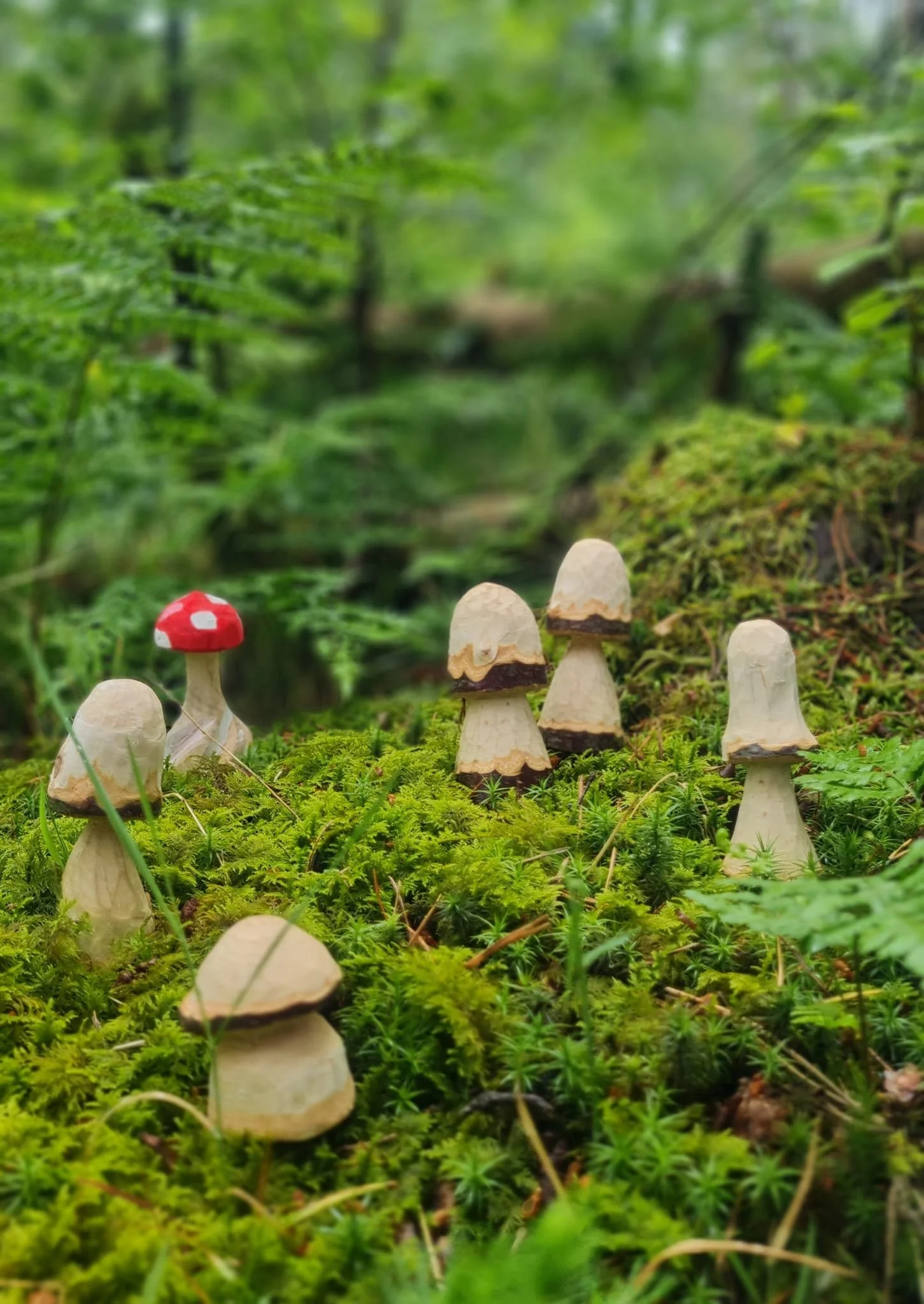 Wood carving mushroom workshop broughty ferry dundee.jpeg