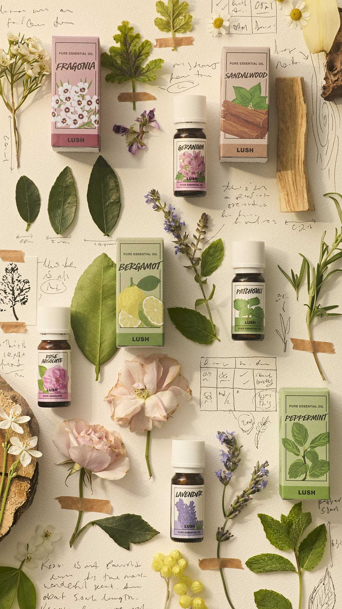 essential_oil_group_lush_2026_13.jpg