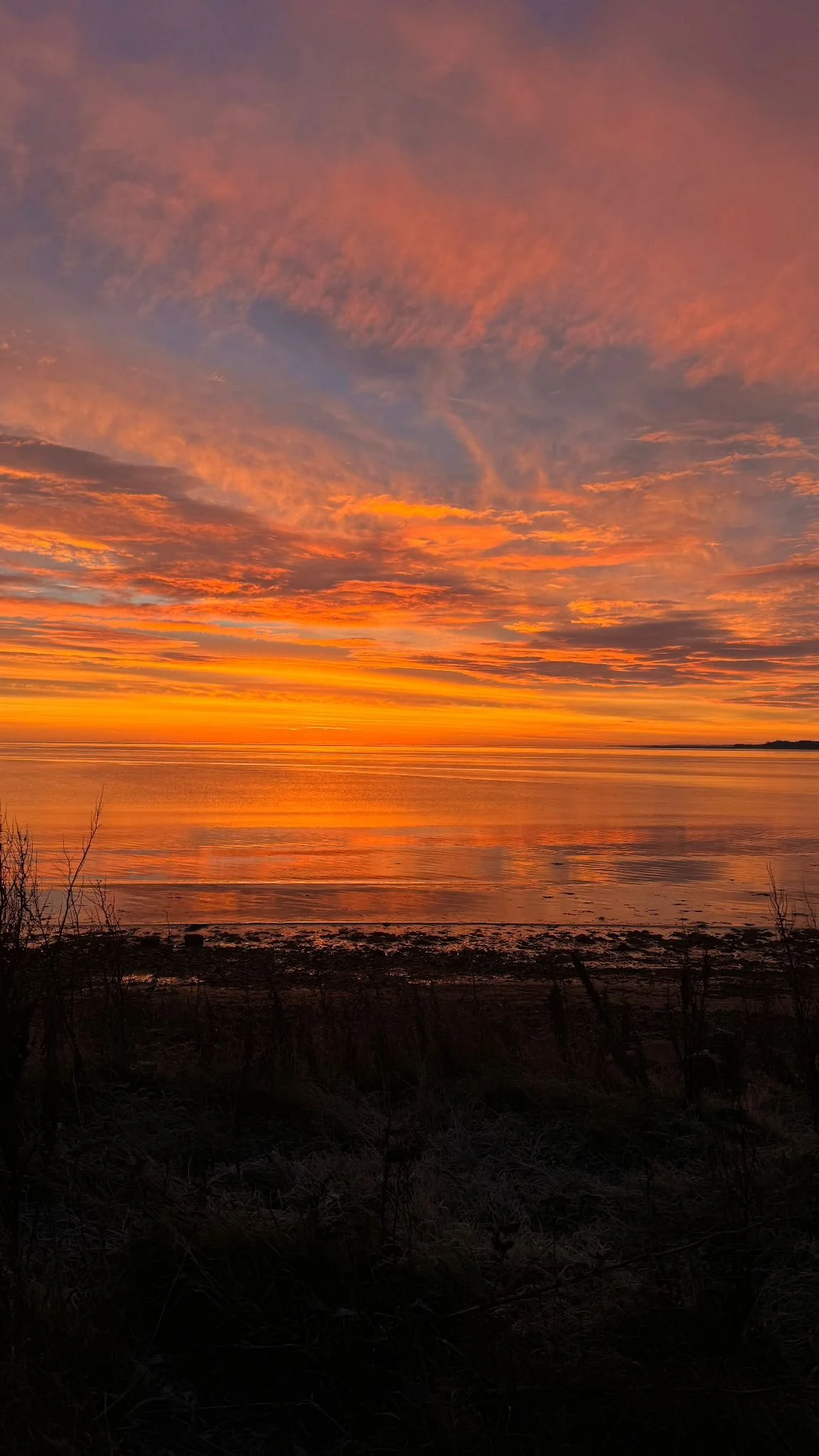 WhatsApp Image 2025-11-26 at 12.07.51.jpeg