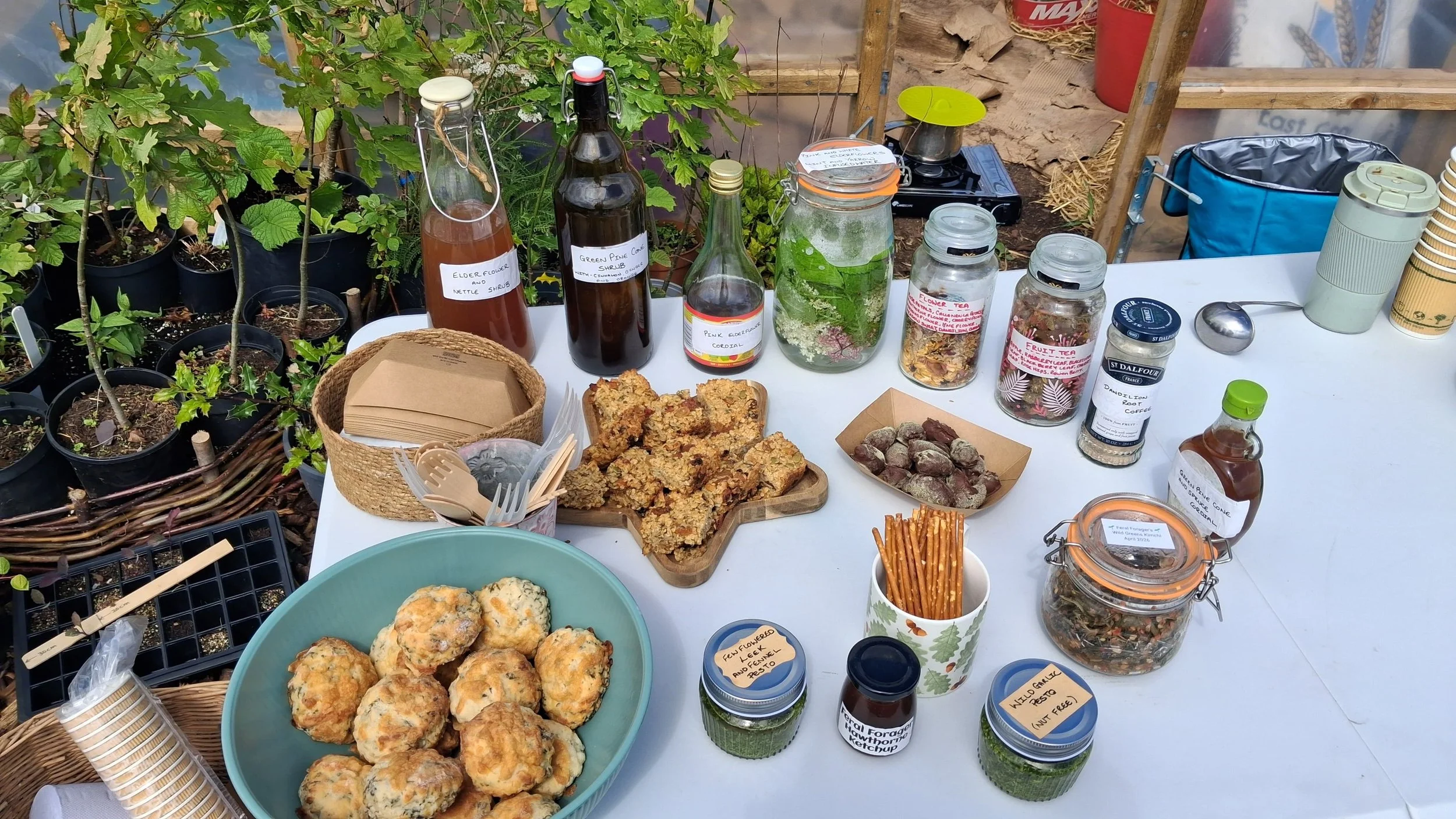 wild foraging workshop dundee.jpeg