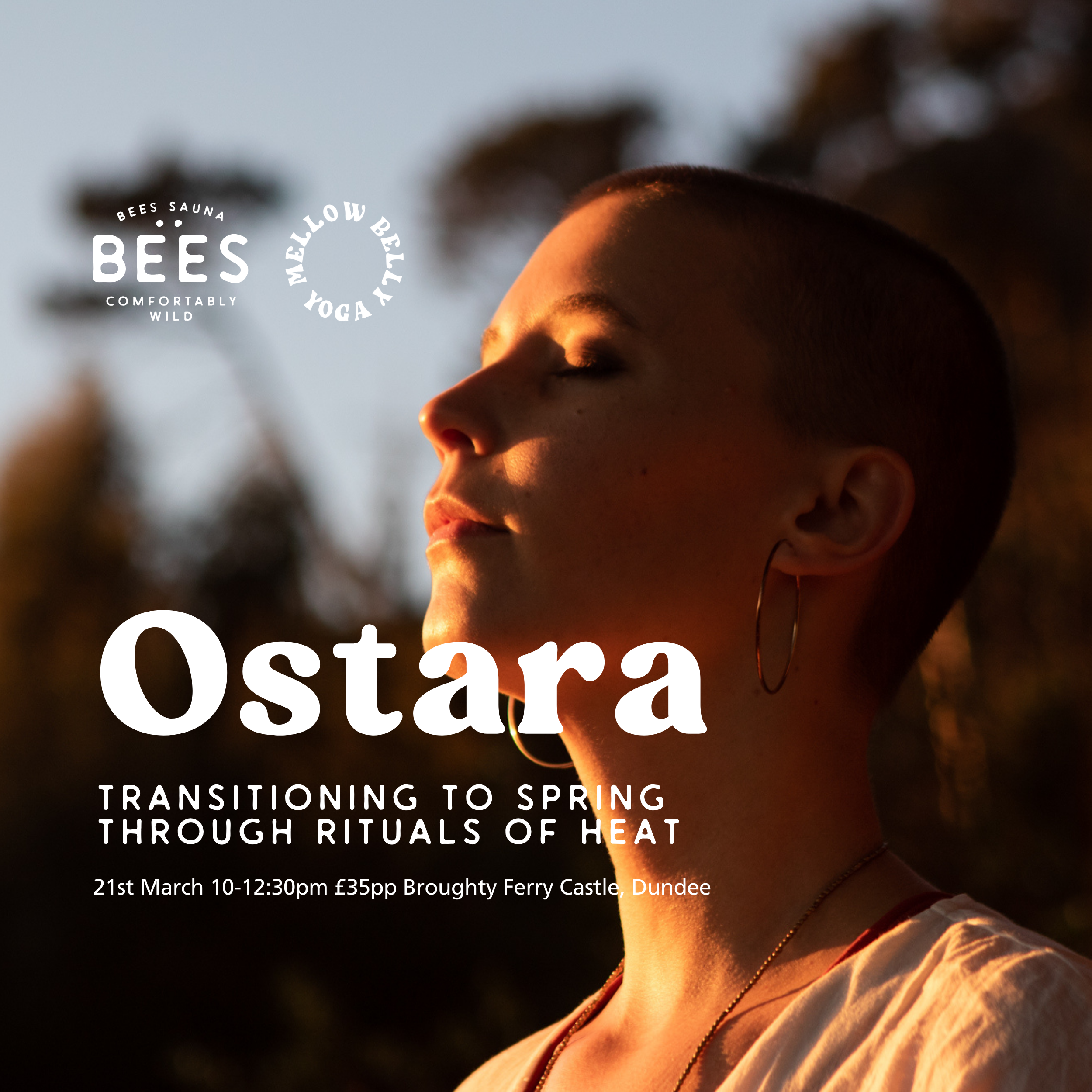 Mellow Belly Squarespace Cover 2.png