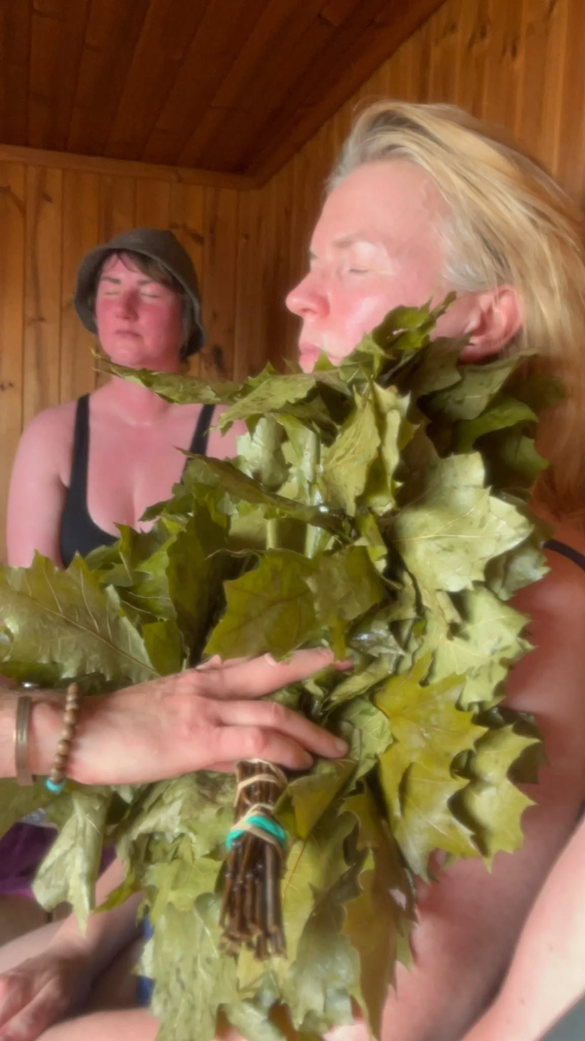 Seabiscuit Guided Sauna Session 9.jpeg