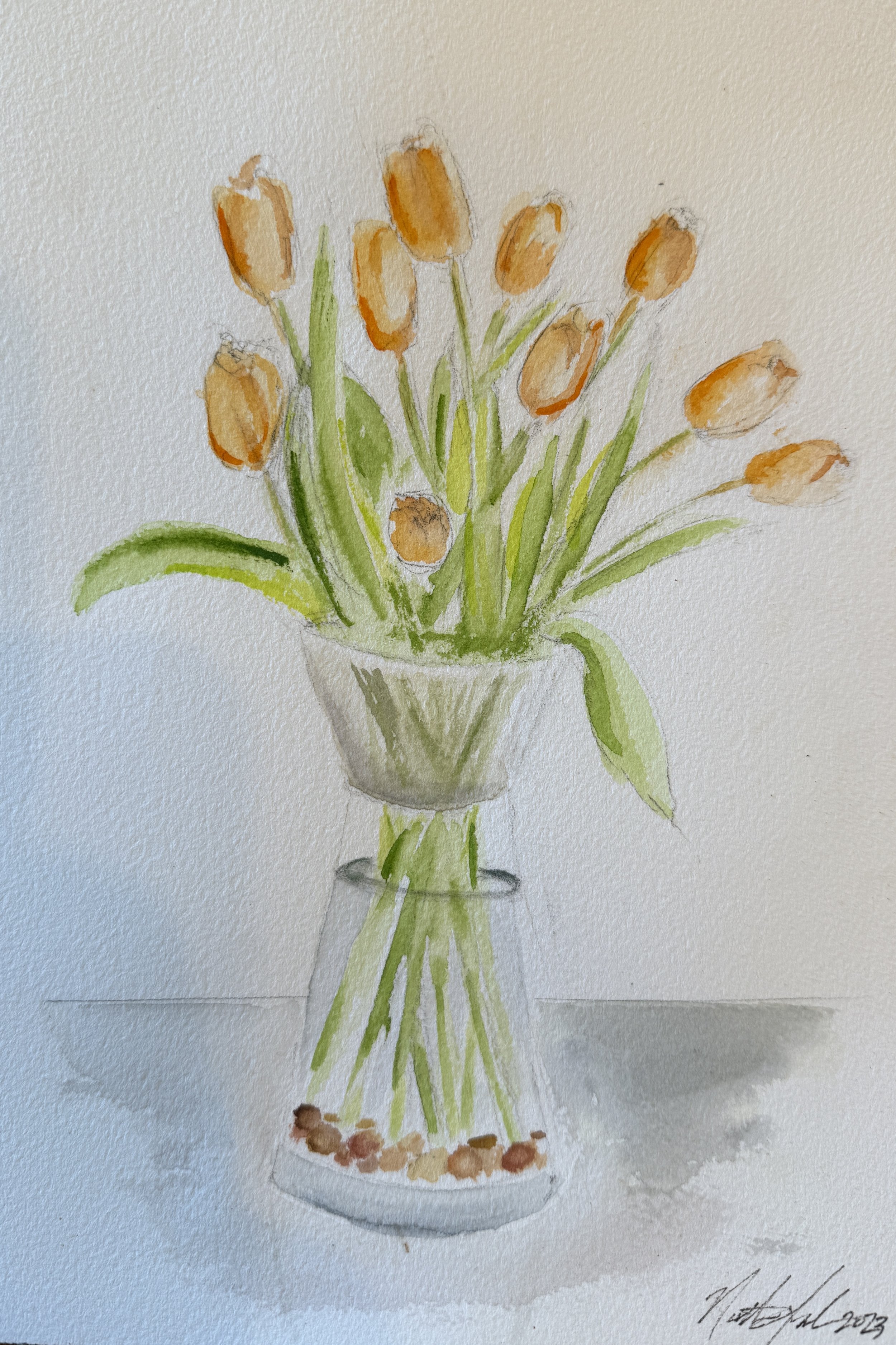 tulips4.jpeg