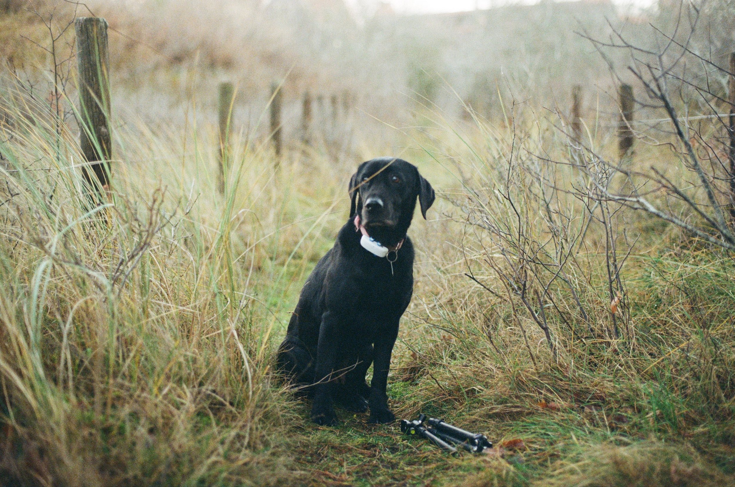 000053030026 (1).jpeg