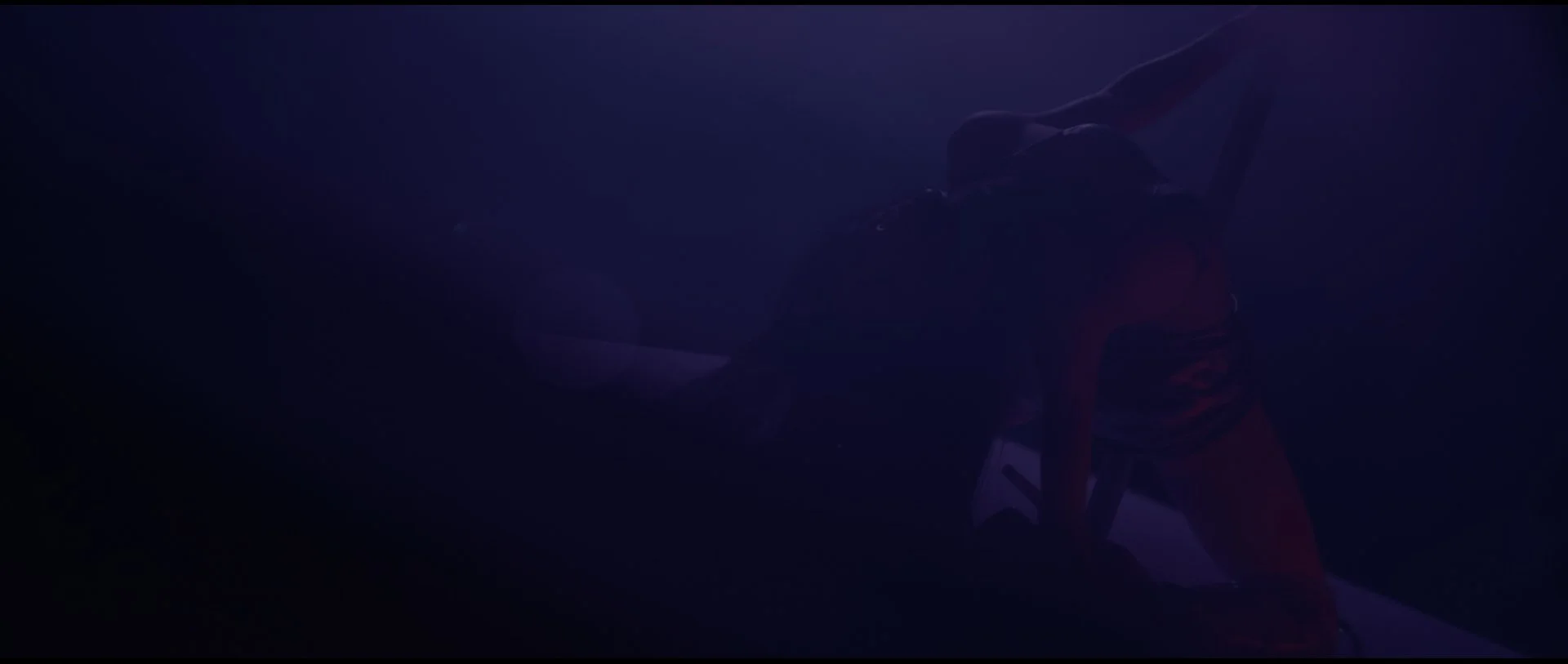 Aria-71.jpg