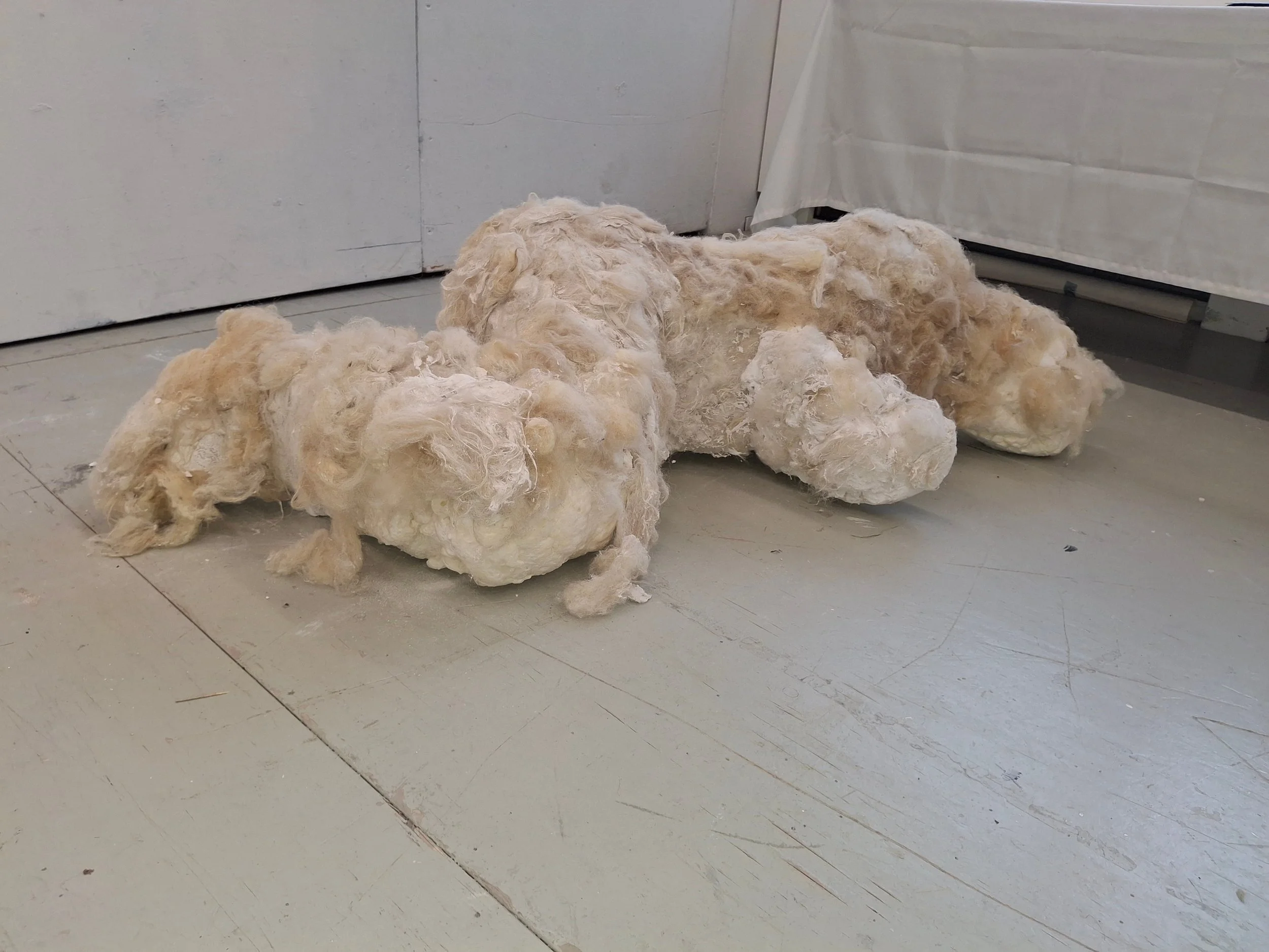 Schaap zacht - 2026