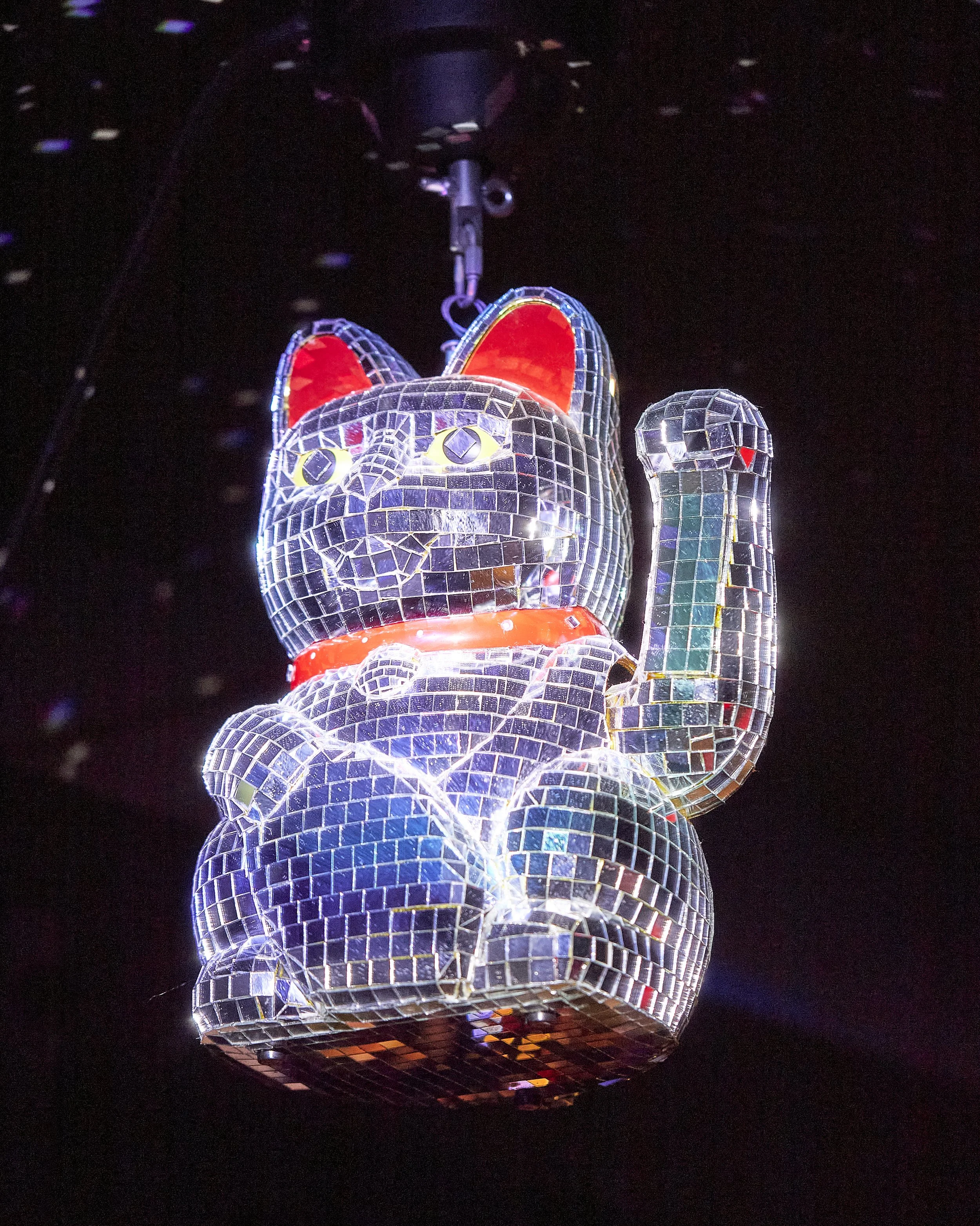 20240917_HiddenTiger_MG_0098-4k-lighting-color copy.jpg