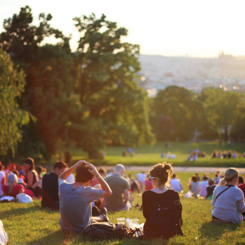 Why Councils Feel So Challenging — and How We Can Change the Narrative