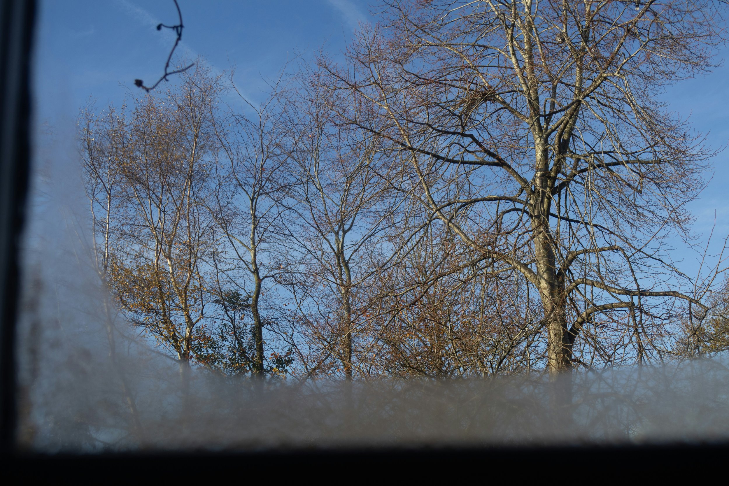 How Iowa's Freeze-Thaw Cycles Damage Your Windows (And What to Do About It)