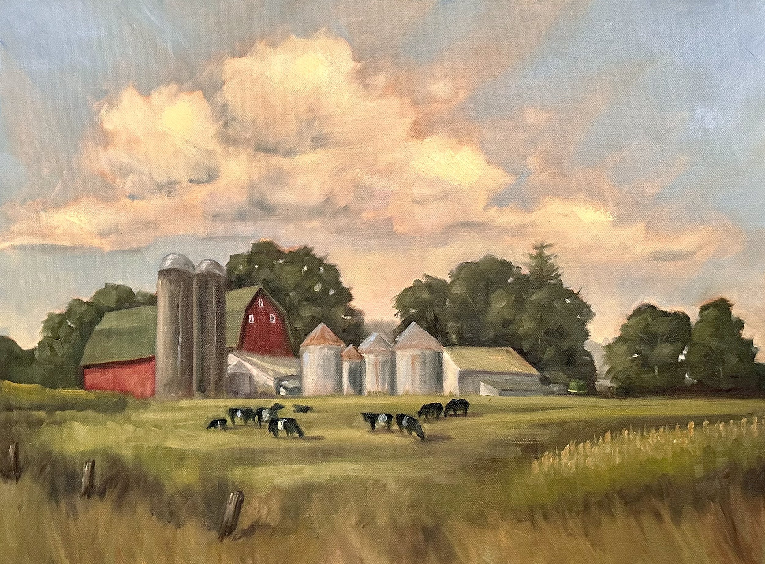 Home in the Heartland