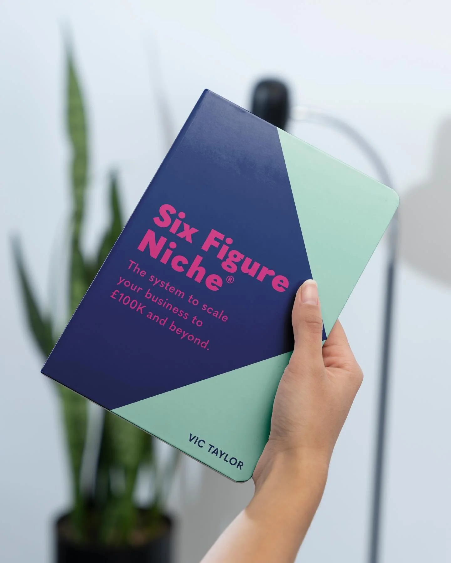 Shout out to a favourite long-term client of mine Vic Taylor - marketer, educator, master connector of people, and author✨

Six Figure Niche&reg;️is a book, a 12 month programme and a resource for business owners looking to focus, level up and develo