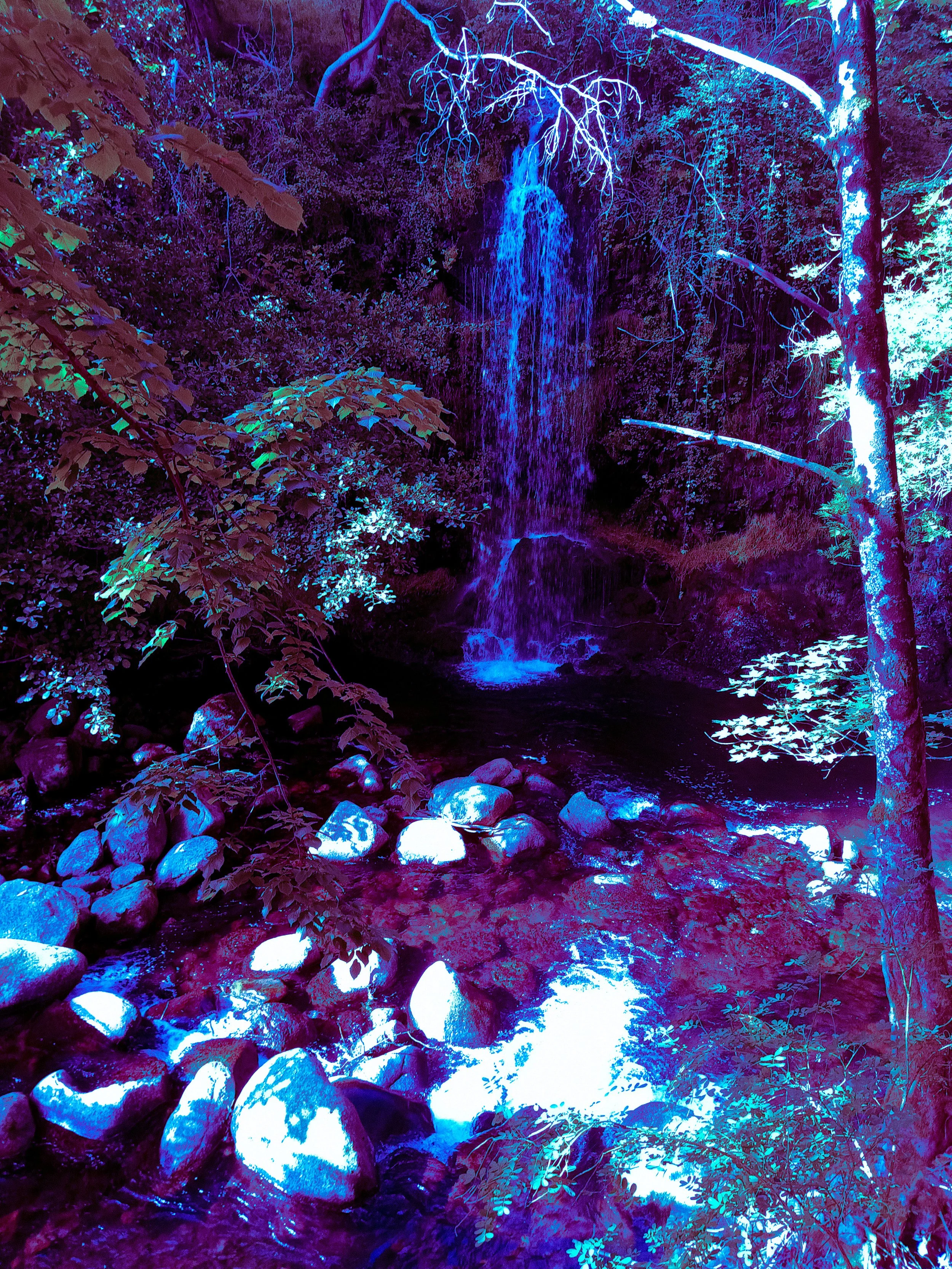 IMG_20230718_180259938 (1).jpg