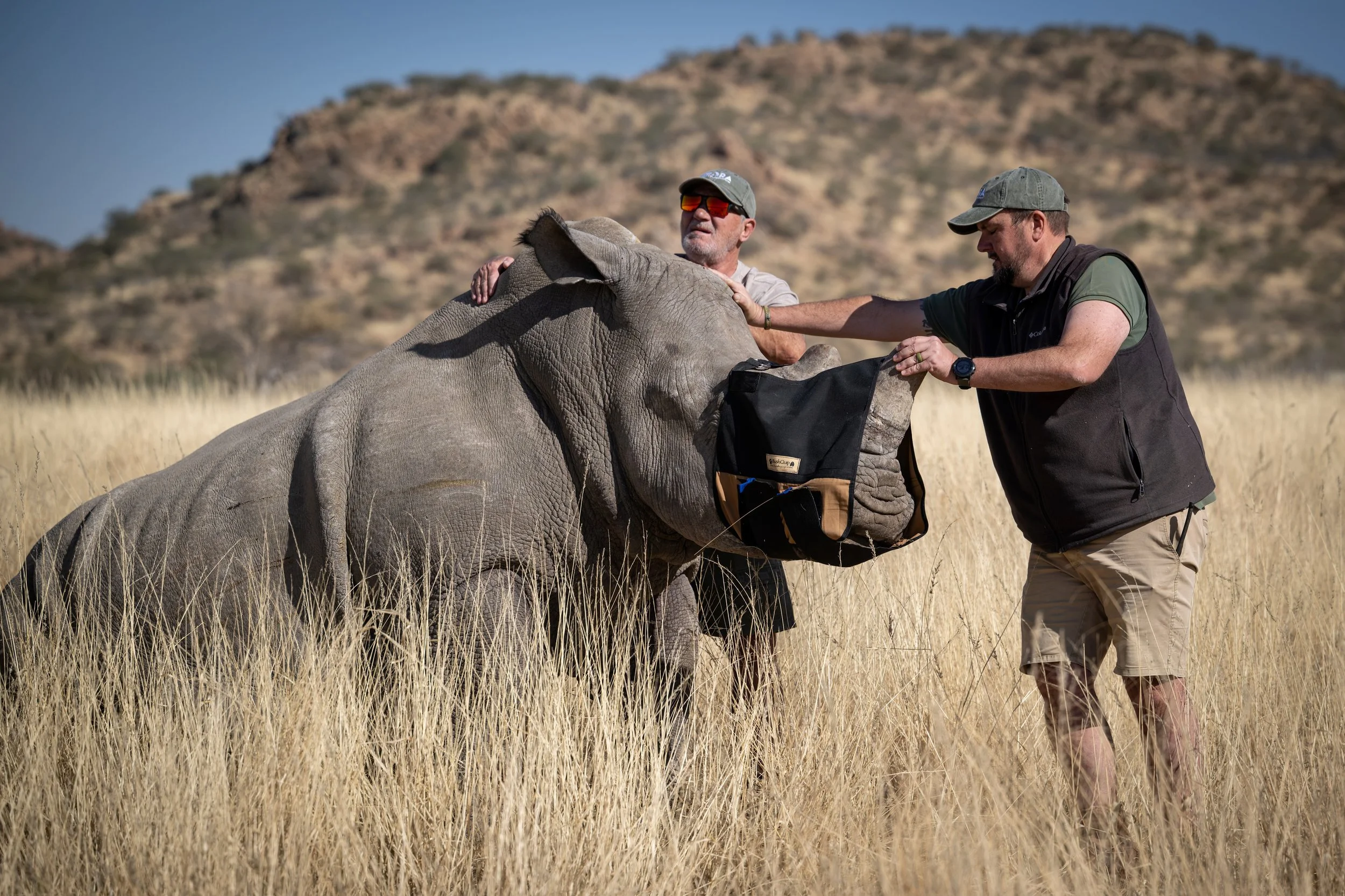 2025_Namibia_Rhino_00583-DxO_DeepPRIME 3-2.jpg