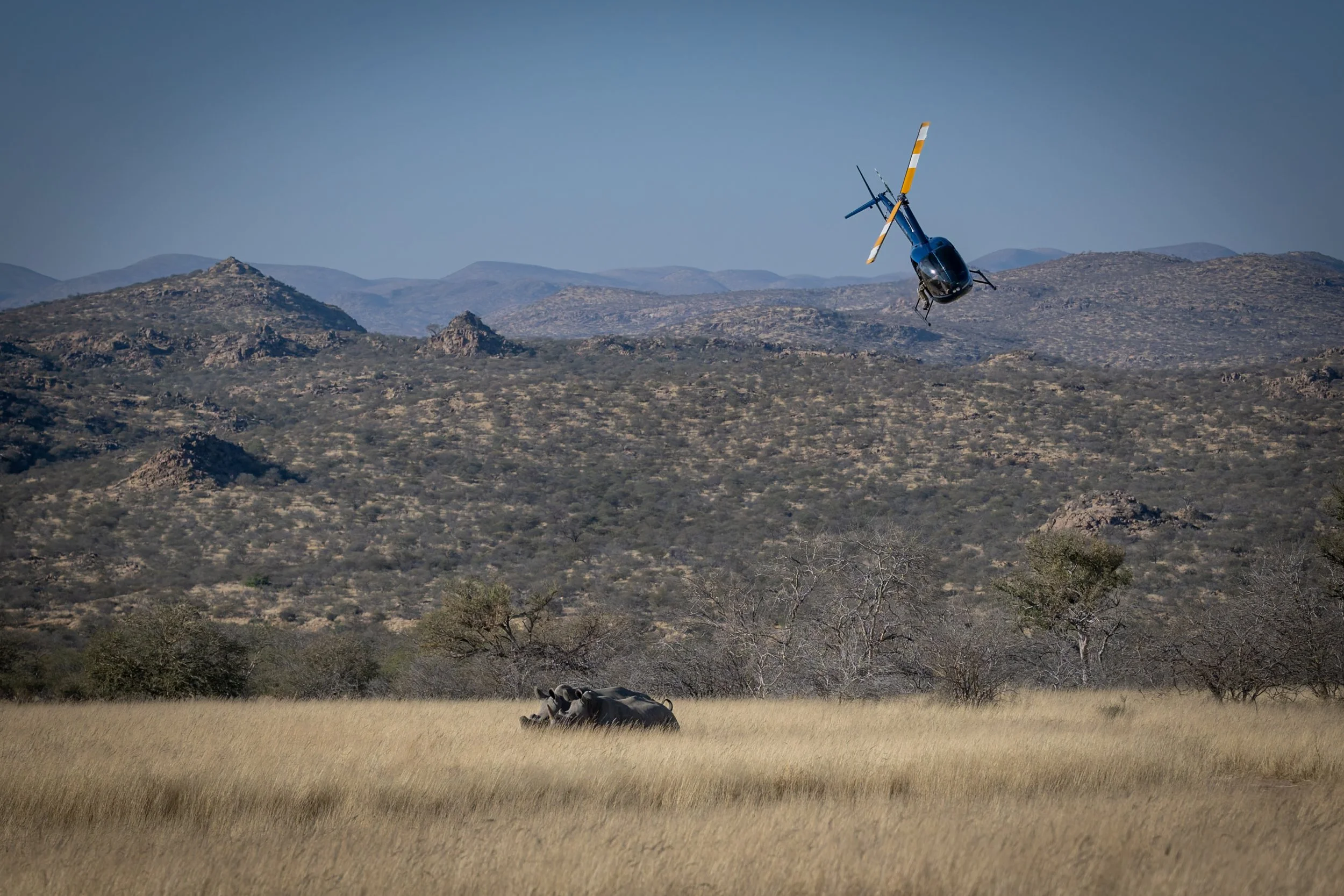 2025_Namibia_Rhino_01744-DxO_DeepPRIME 3-2.jpg