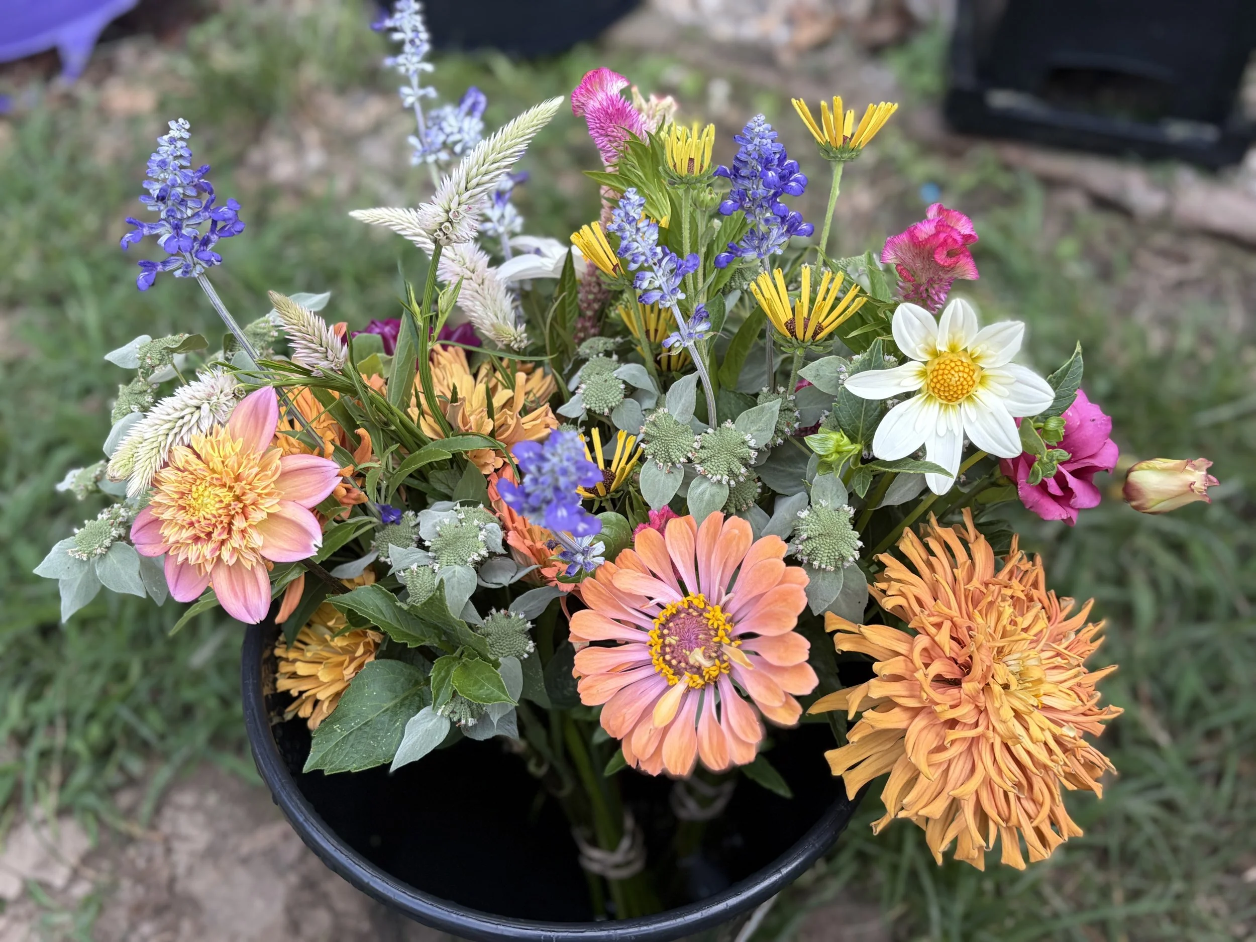 1st Day of Fall Bouquet Club Season