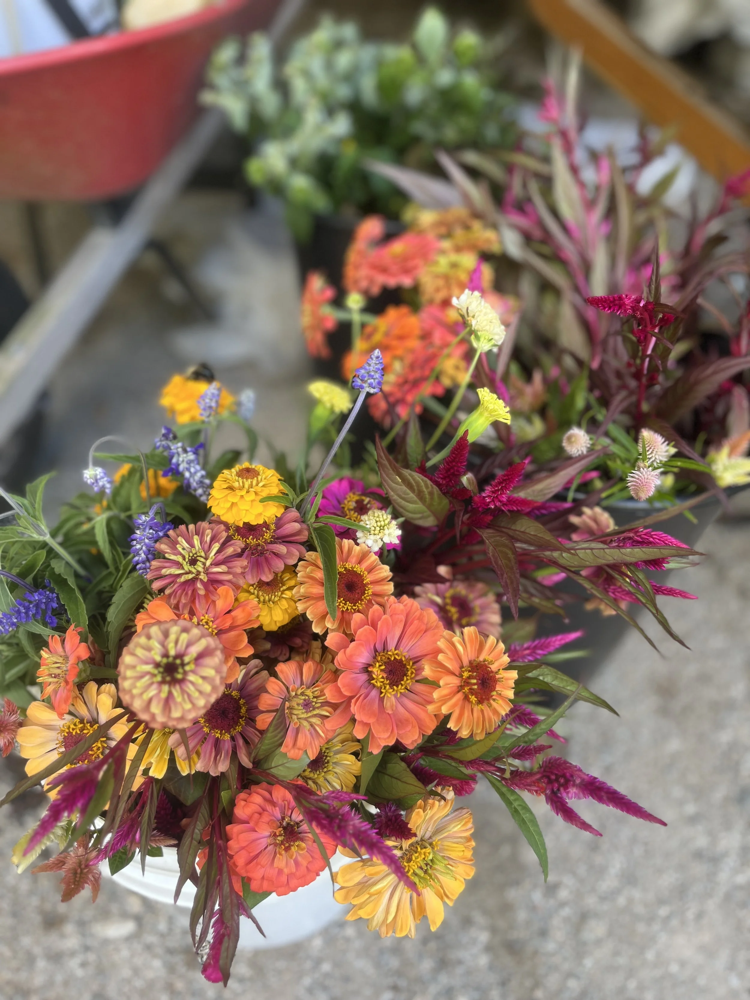 Flower and Plant Pop Up: 43rd St Studios