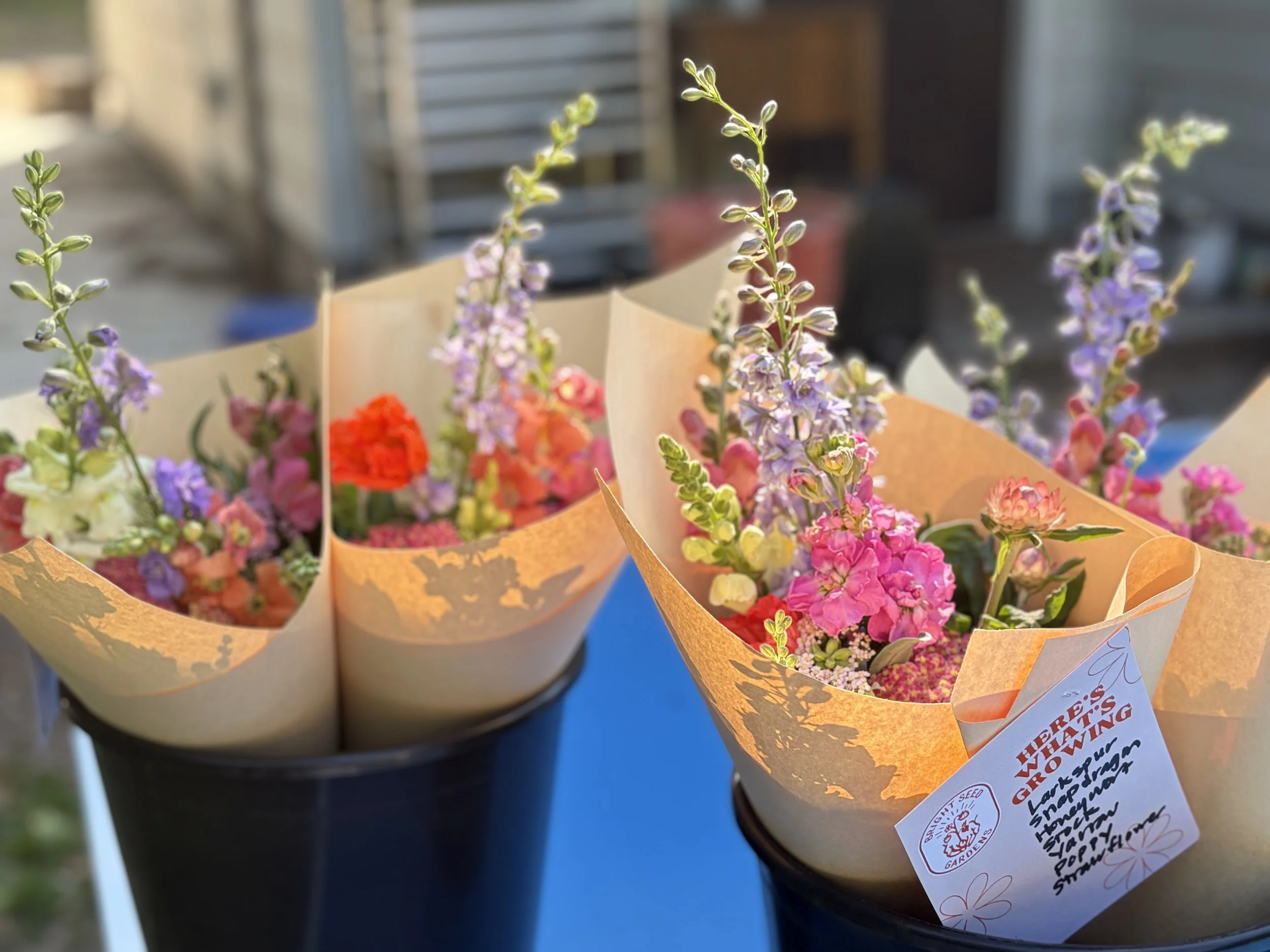 Wrapped Market Bouquet