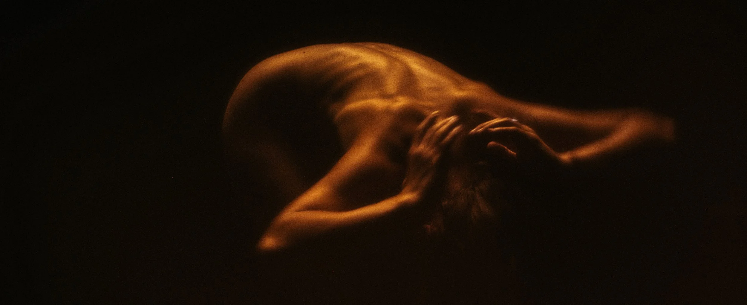 Images by Jordan Wood