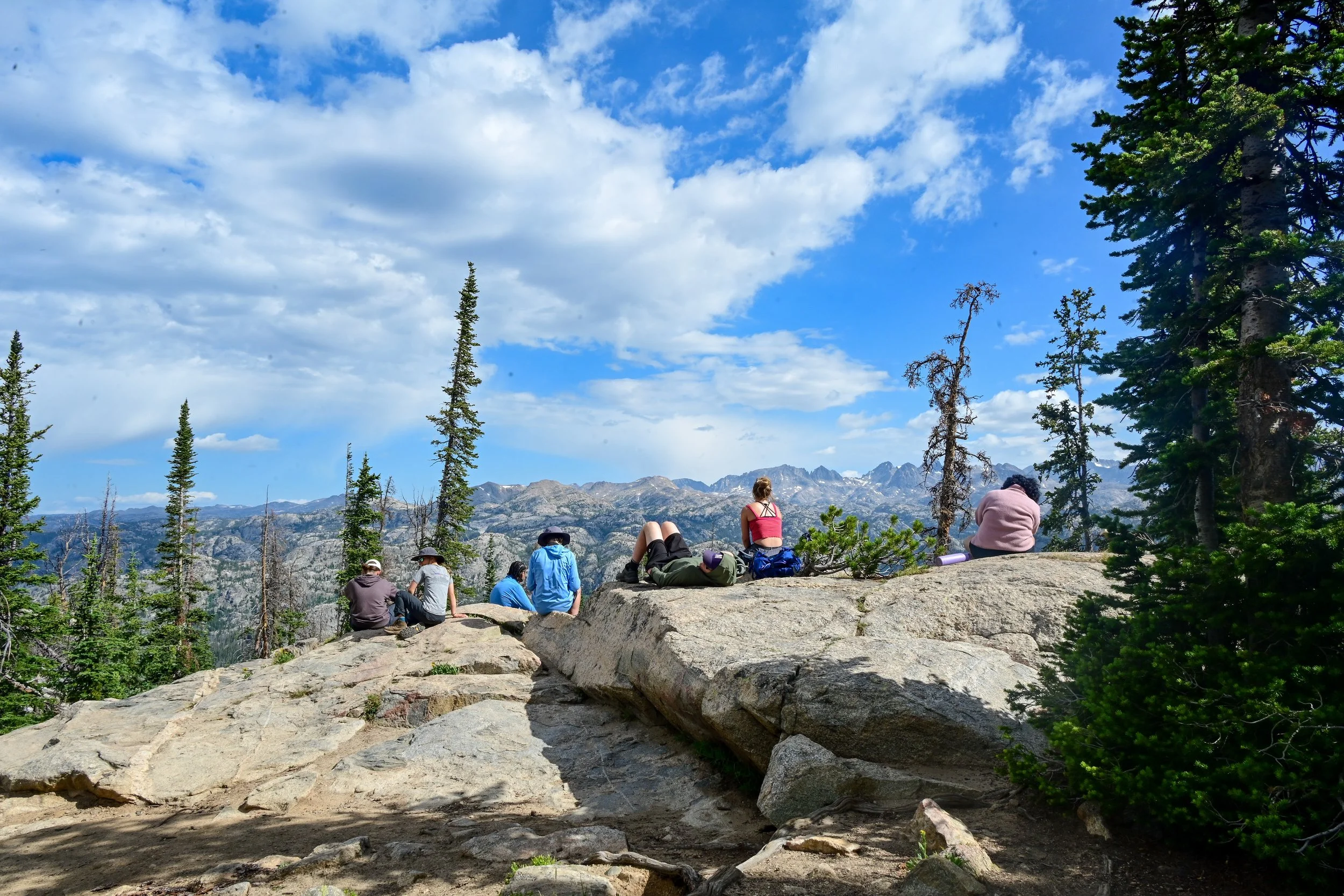 DSC_6310.jpg