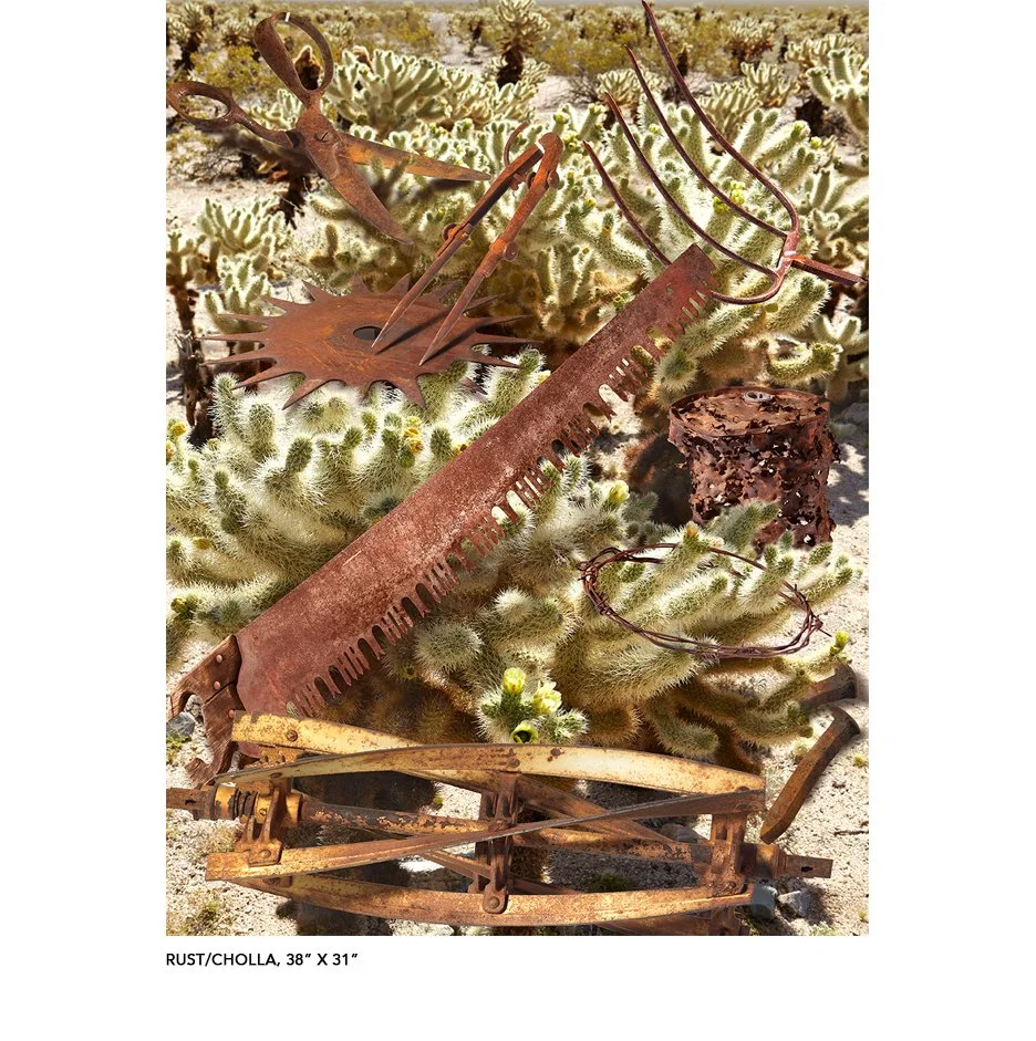 Rust Cholla.jpg