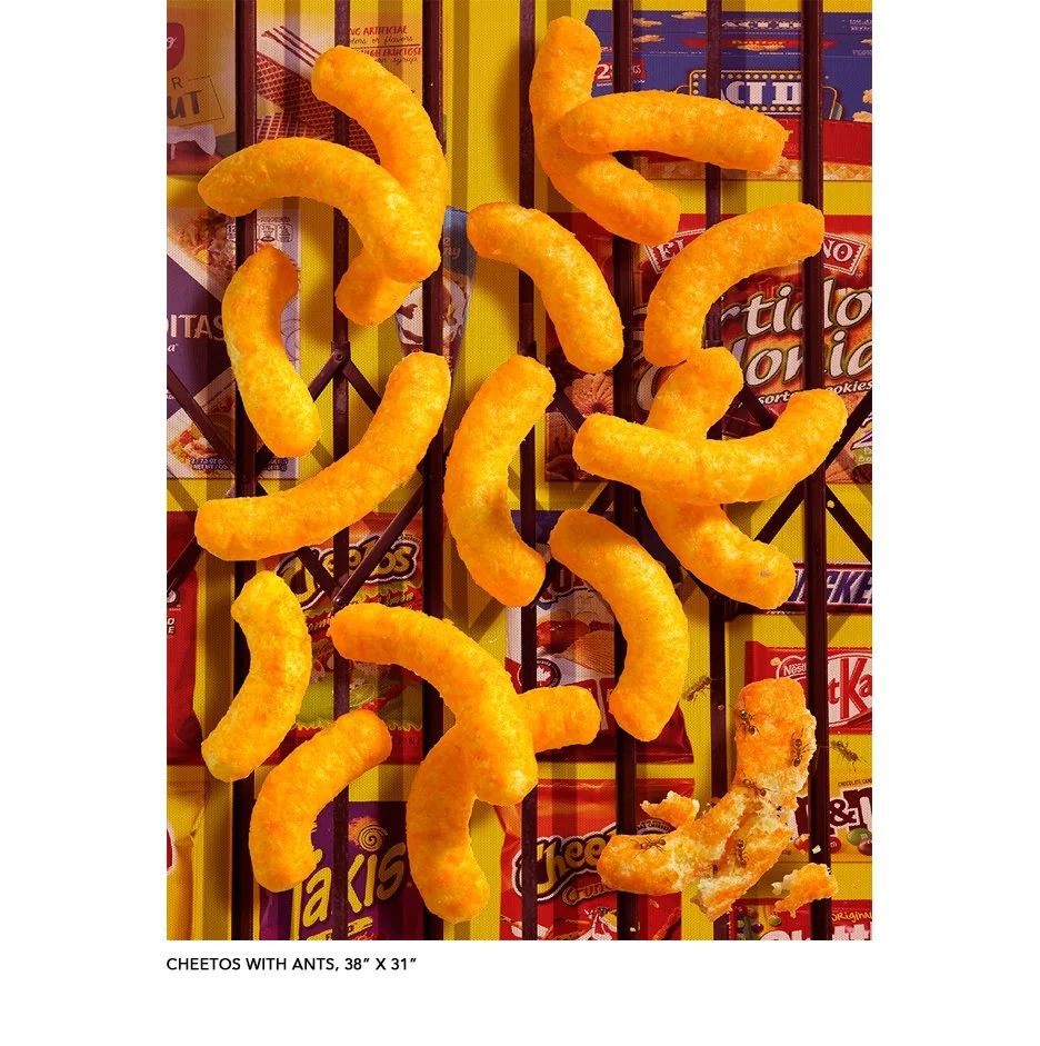 Cheetos with Ants.jpg