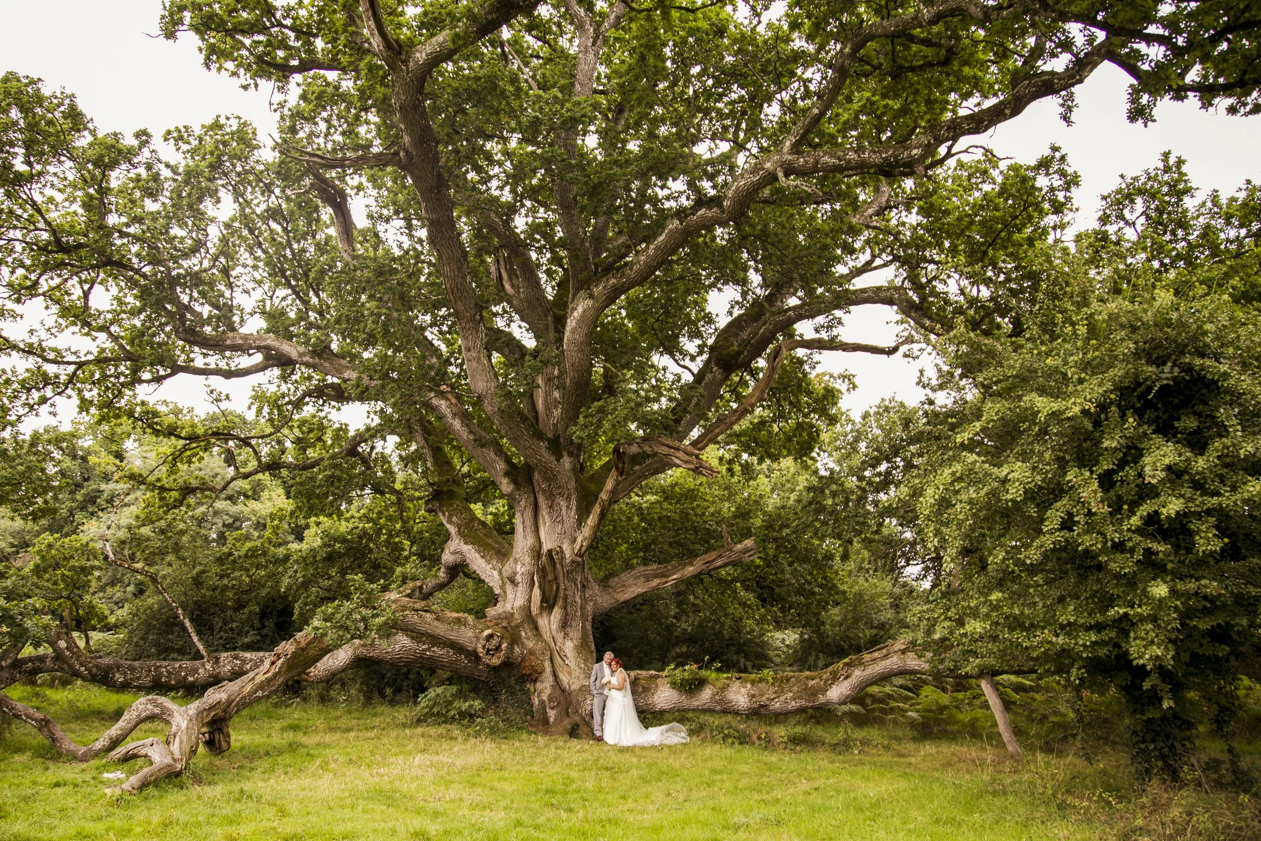 A bride and groom standing together under a large, old tree with sprawling branches in an outdoor setting, likely for a wedding photo.