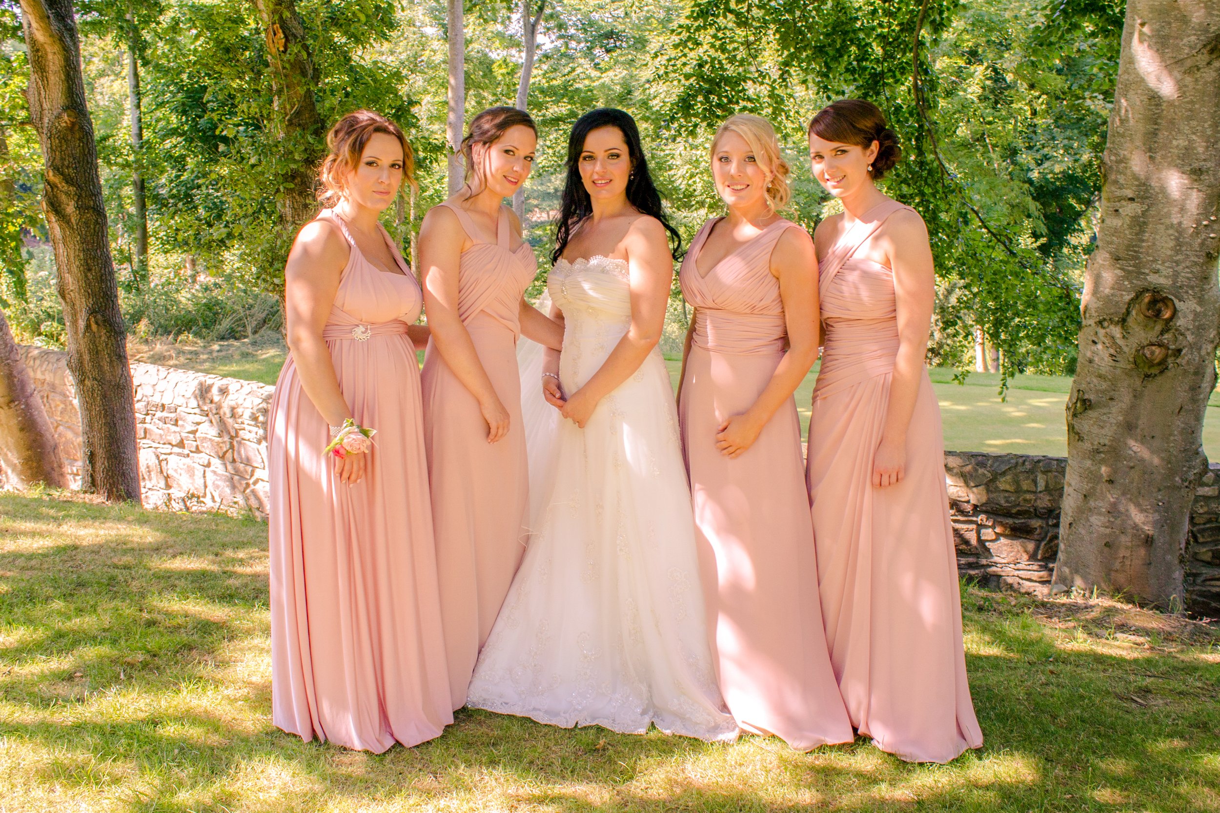 A bride in a white wedding gown standing among five bridesmaids wearing matching pink dresses in a green park setting with trees and grass.