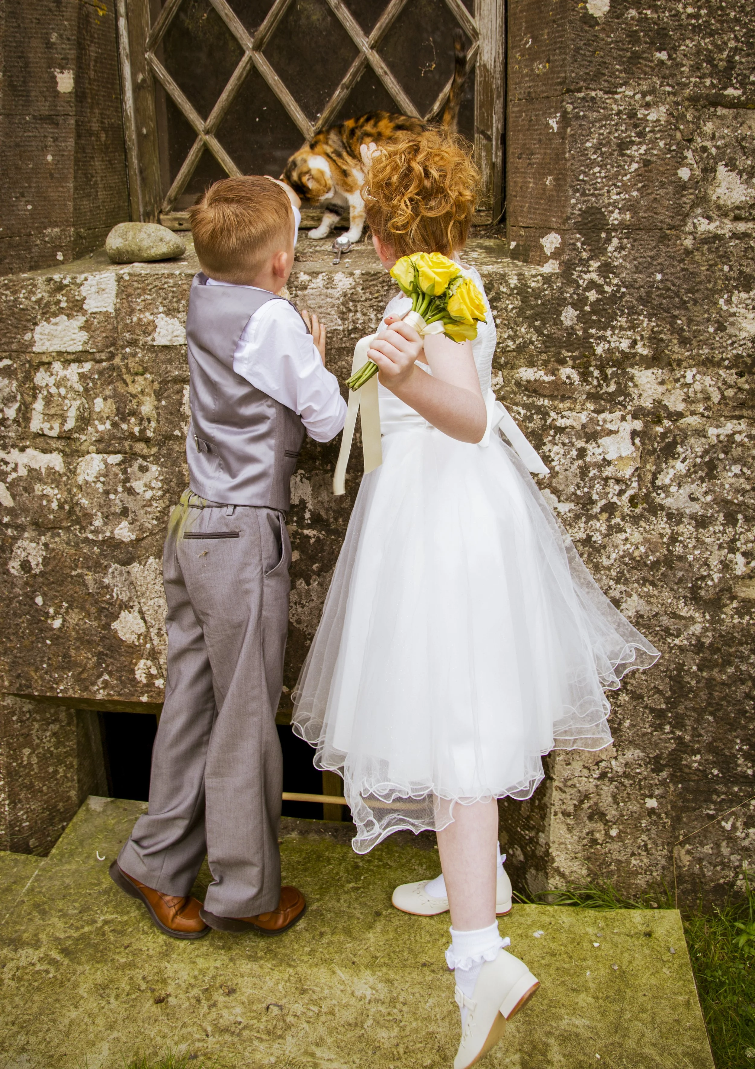 A young girl in a white dress holding a yellow bouquet, and a boy in a gray suit, stand in front of a stone wall and wooden gate, looking at a calico cat through the gate.