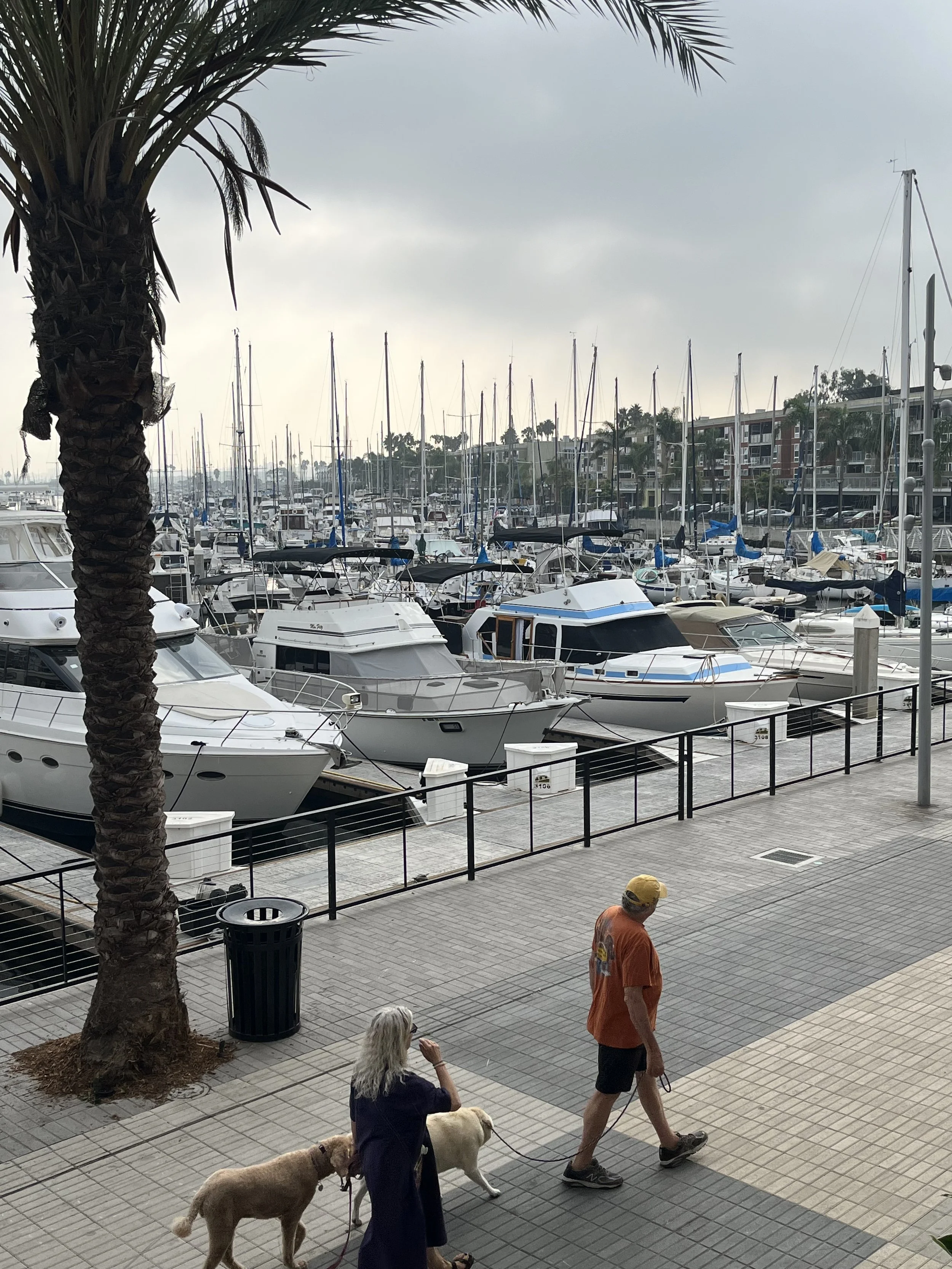Marina Delray