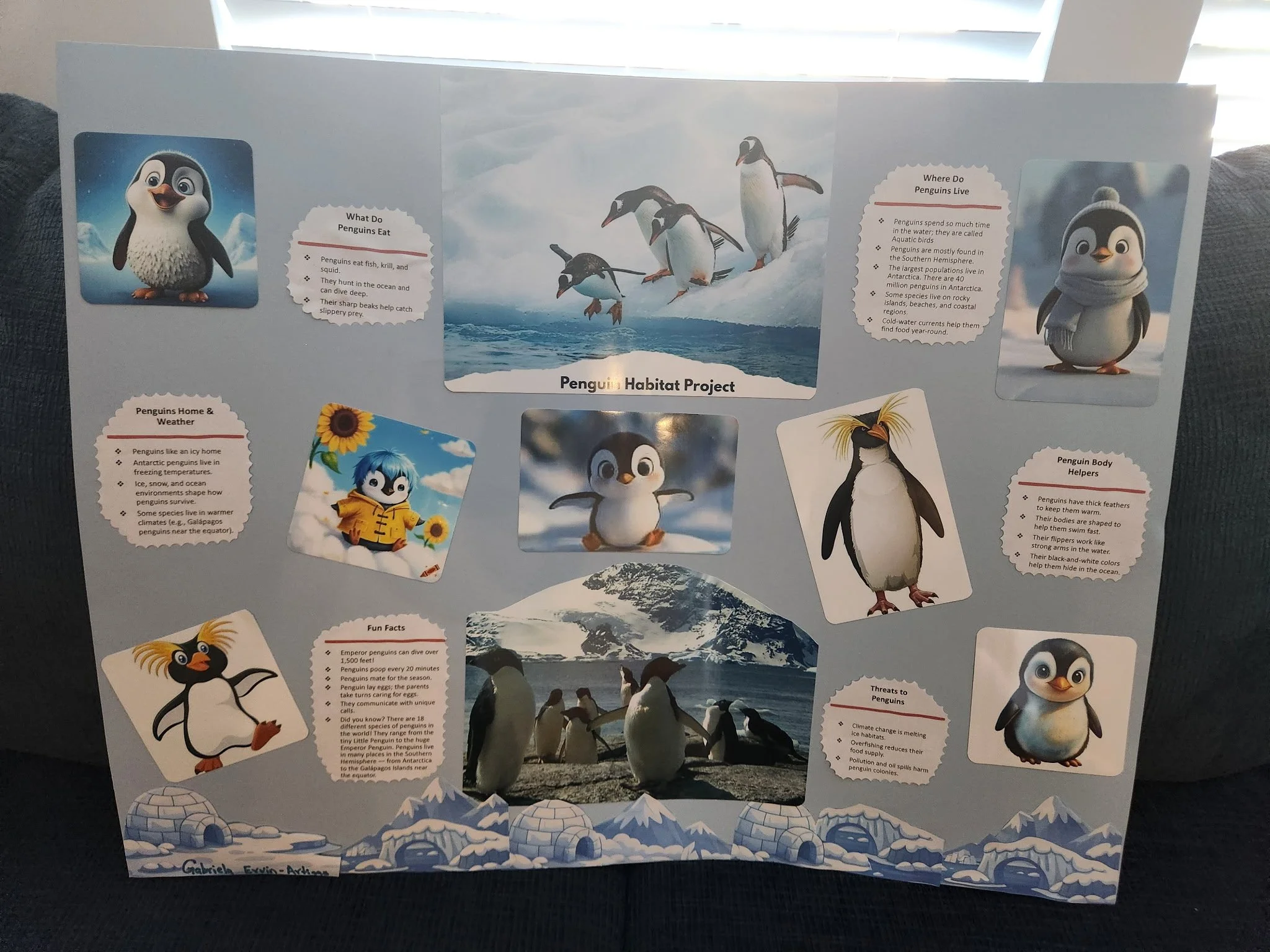 Penguin Habitat Project.jpg
