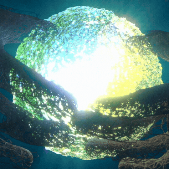 OMNICOLOS Website Mobile GIF.gif