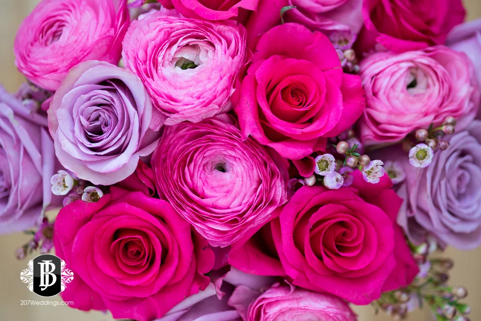 Be My Valentine!  | A Wedding Photographer in Portland Maine