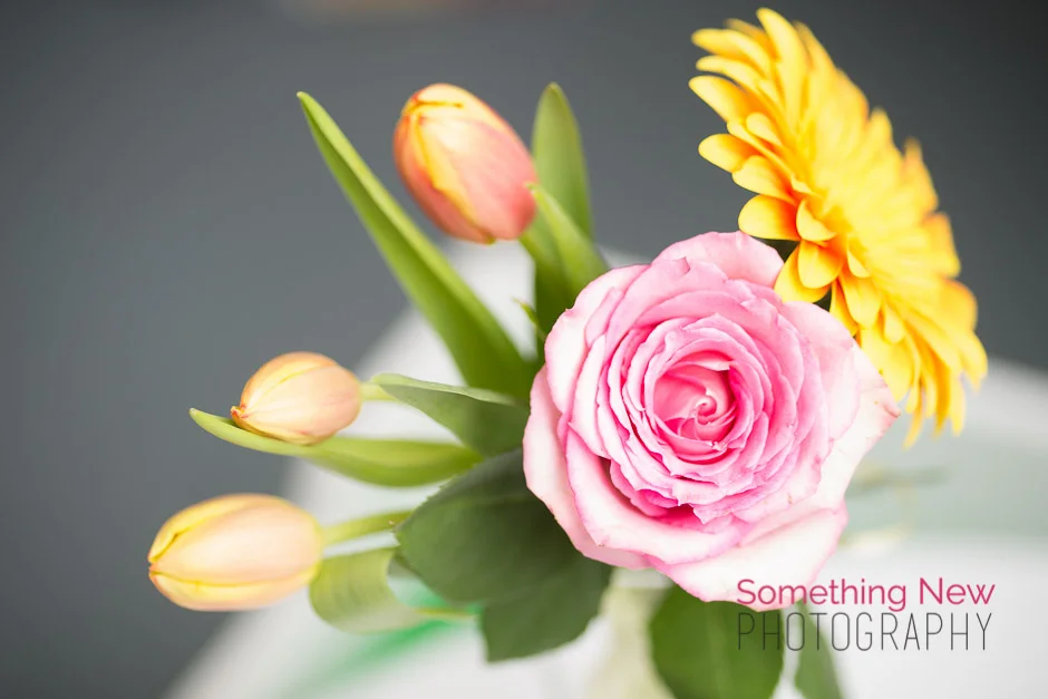 Maine Wedding Photographer | Sawyer Florist