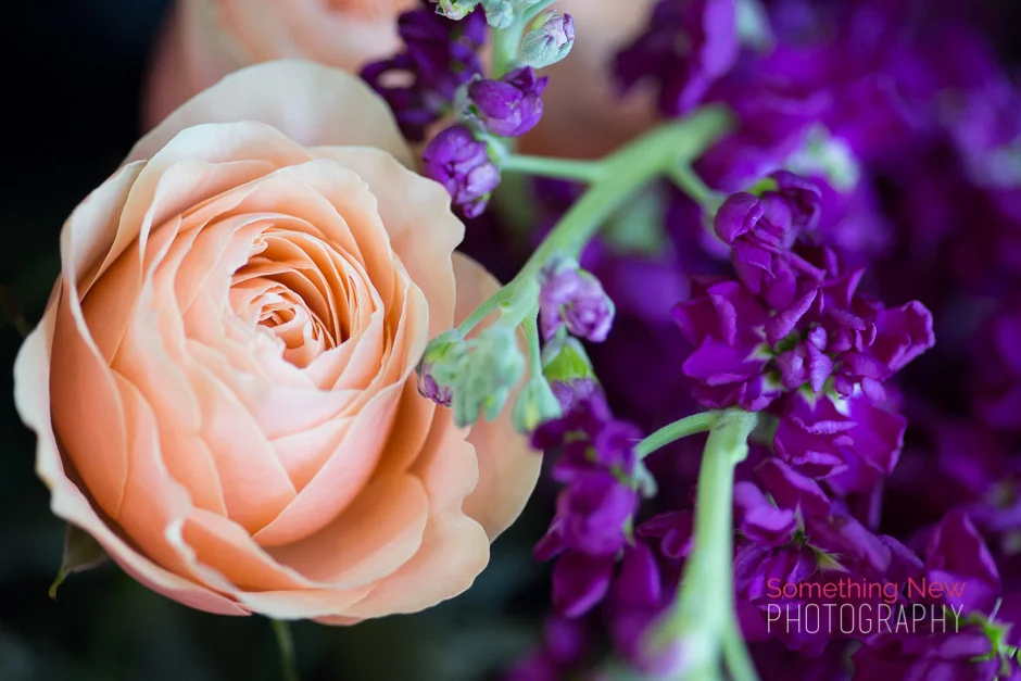 Maine Wedding Photographers | Sawyer