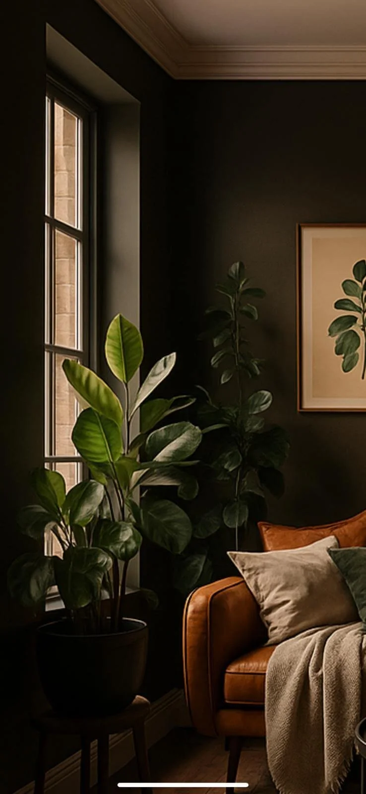 A cozy corner of a living room with a window, large indoor plants, and a brown leather sofa with beige and green pillows and a beige blanket. A framed picture is on the dark wall.