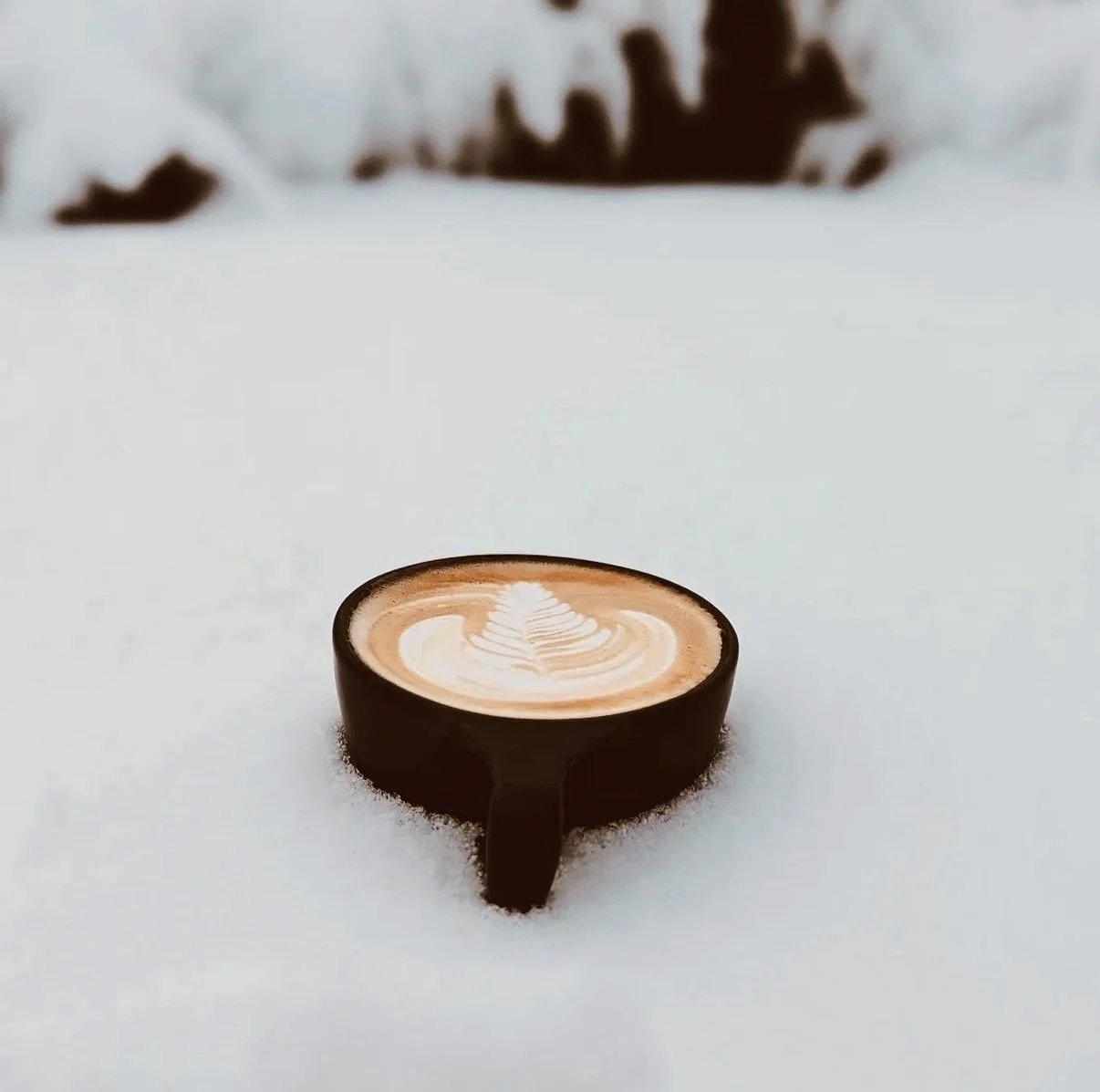 A cup of coffee with latte art on top placed in the snow outdoors, with blurred trees in the background.