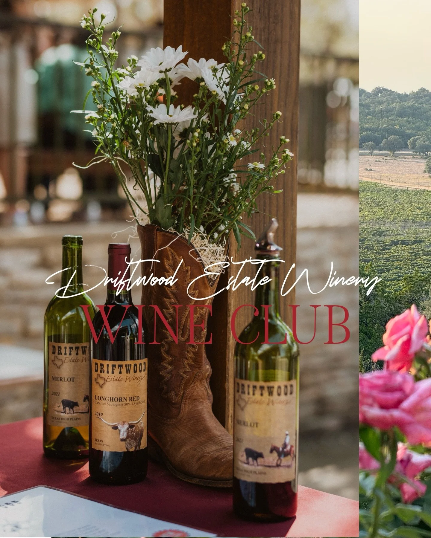 Winter Wine Club Party