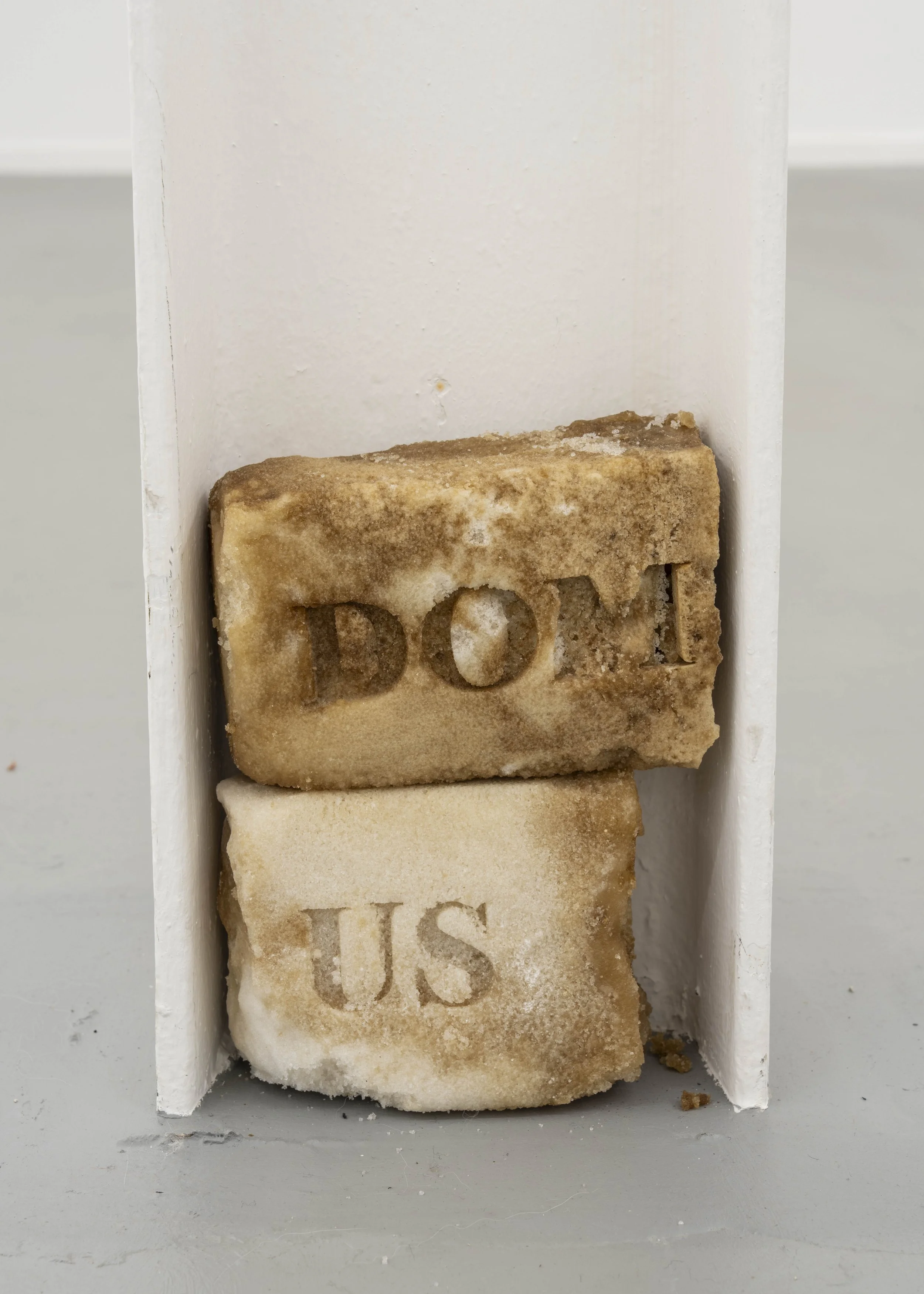 Jordan Zayas Kelly, Brick by Brick, 2025. Details. Courtesy of the Artist and Loop, London. Photo_ Noah Da Costa(2).jpg