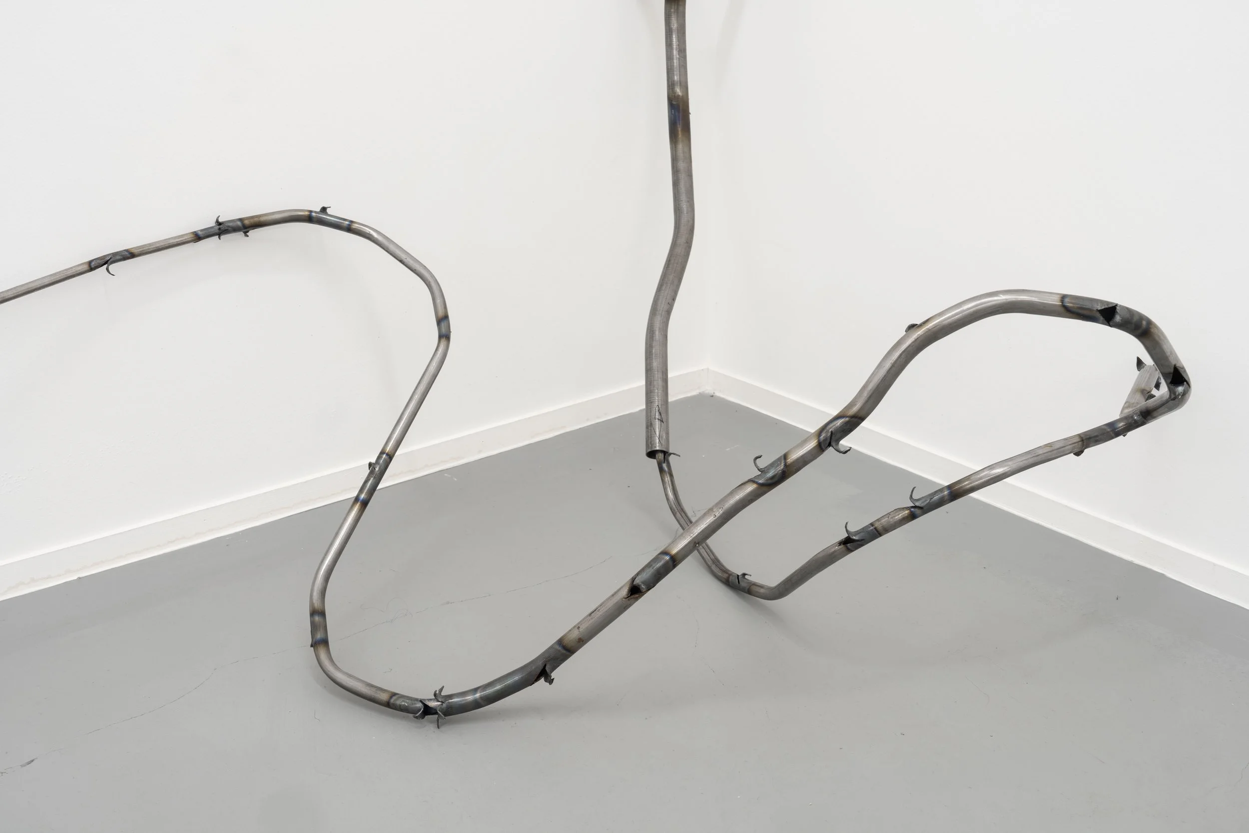Jordan Zayas Kelly, Spina-Christi, 2026. Details. Courtesy of the Artist and Loop, London. Photo_ Noah Da Costa(1).jpg
